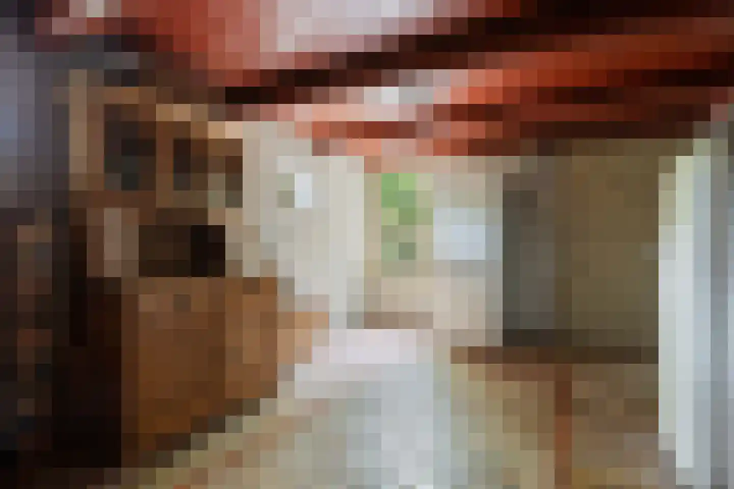 Dorpsstraat 98 Vriescheloo thumbnail 54