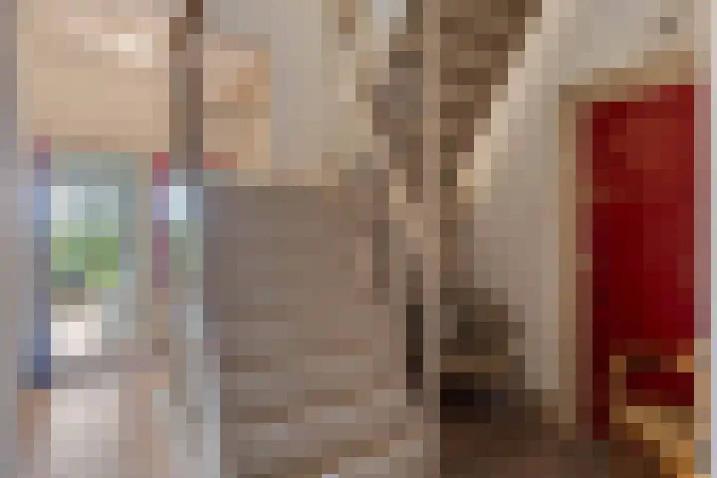 Dorpsstraat 98 Vriescheloo thumbnail 57