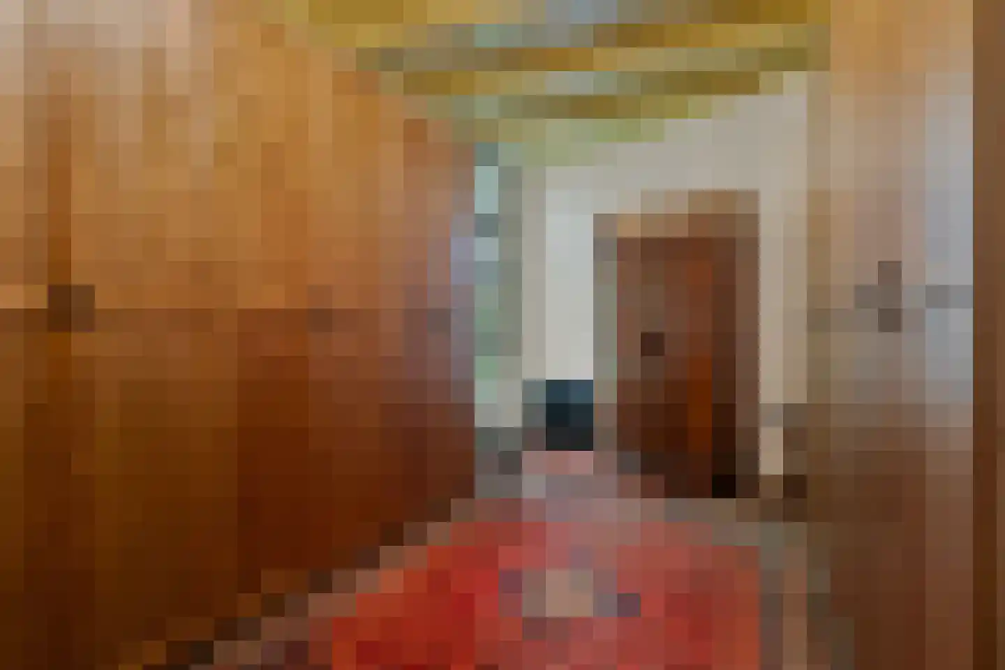 Dorpsstraat 98 Vriescheloo thumbnail 58