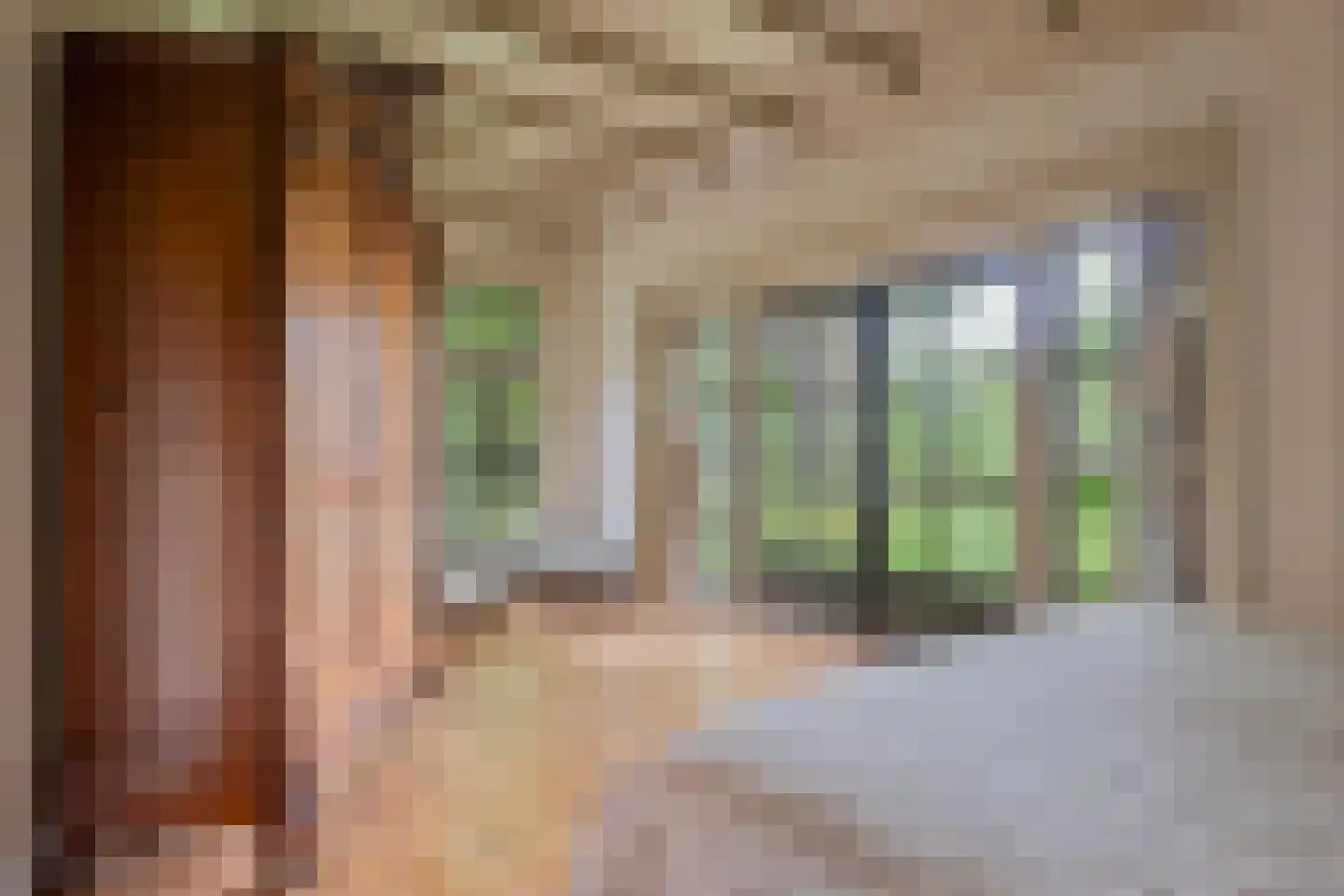 Dorpsstraat 98 Vriescheloo thumbnail 59