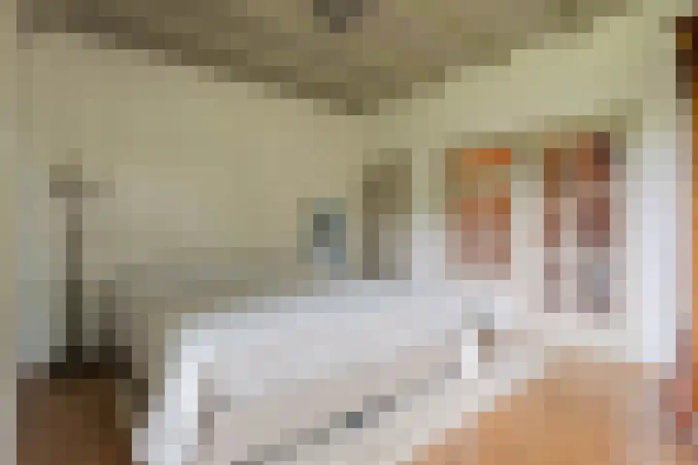 Dorpsstraat 98 Vriescheloo thumbnail 61