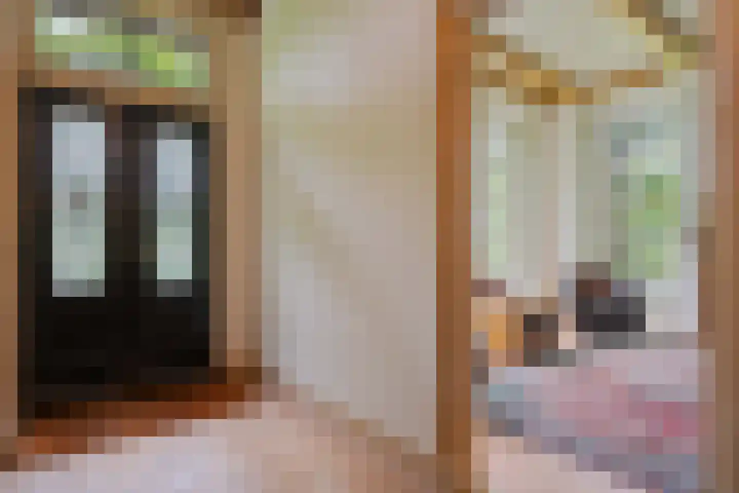 Dorpsstraat 98 Vriescheloo thumbnail 62