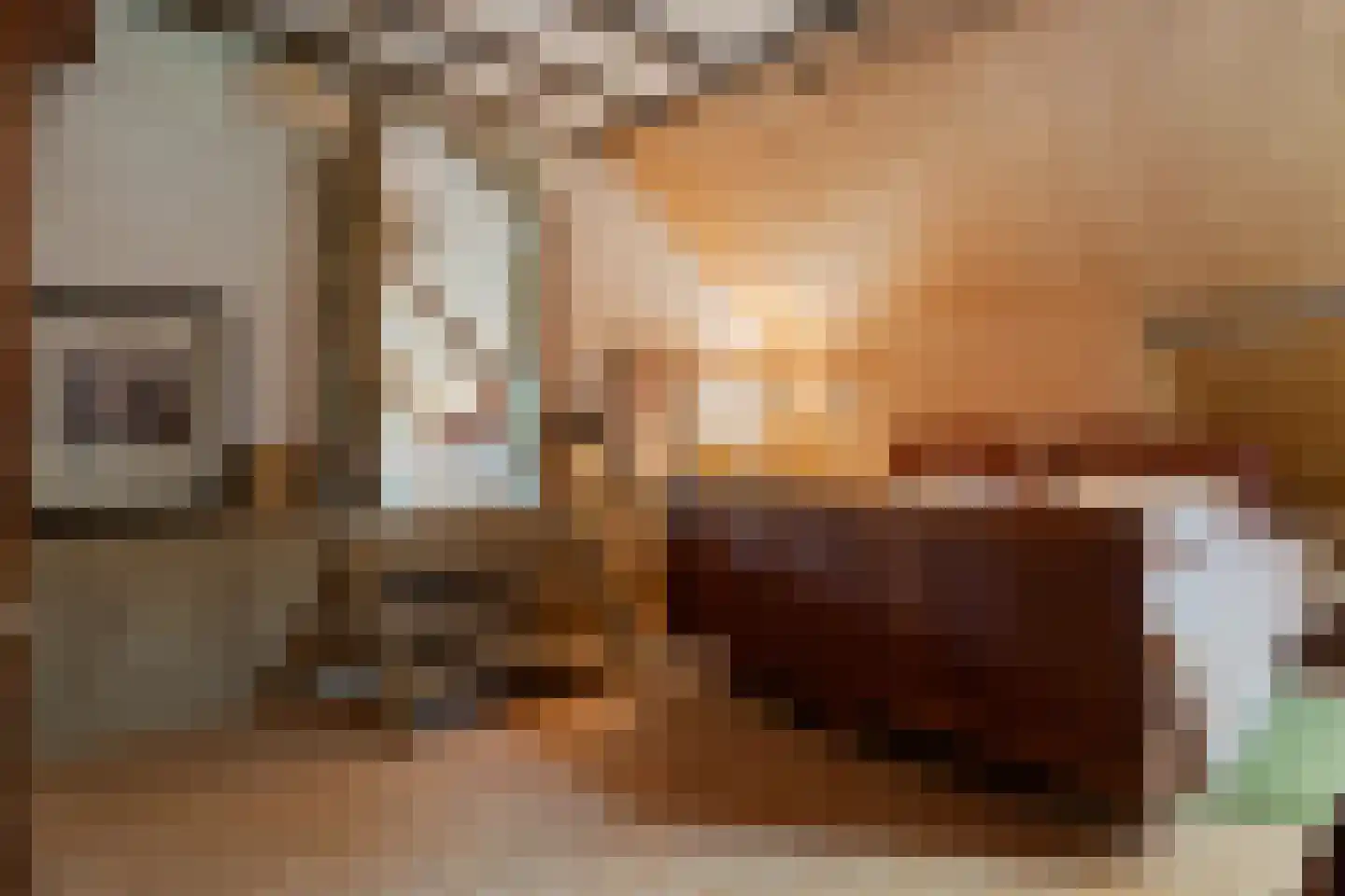 Dorpsstraat 98 Vriescheloo thumbnail 67