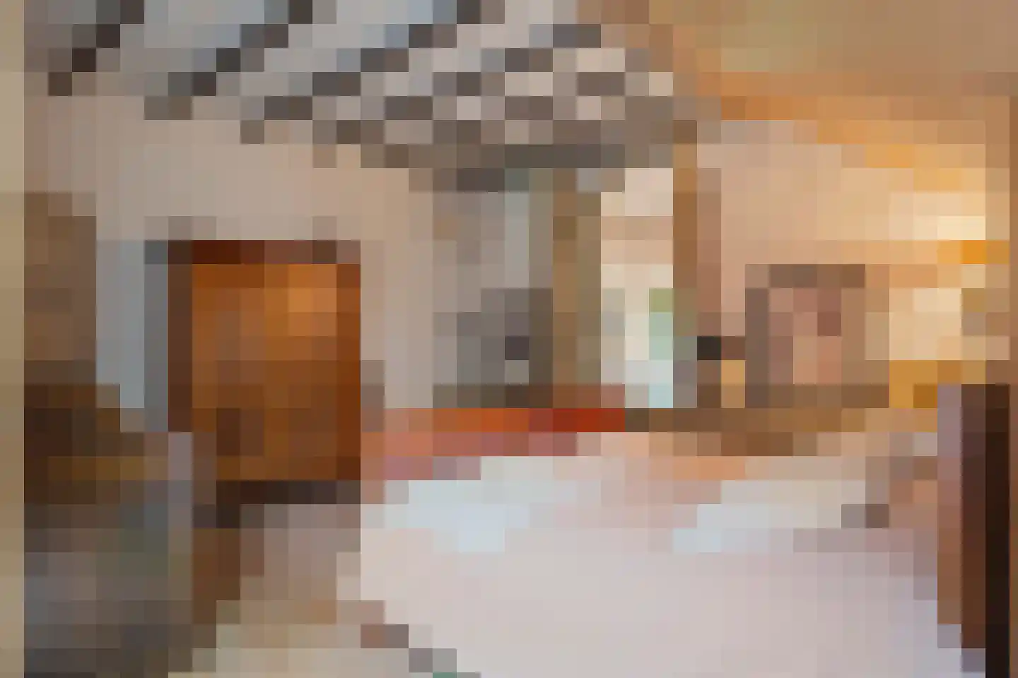 Dorpsstraat 98 Vriescheloo thumbnail 68