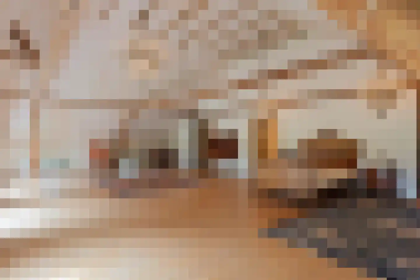 Dorpsstraat 98 Vriescheloo thumbnail 69