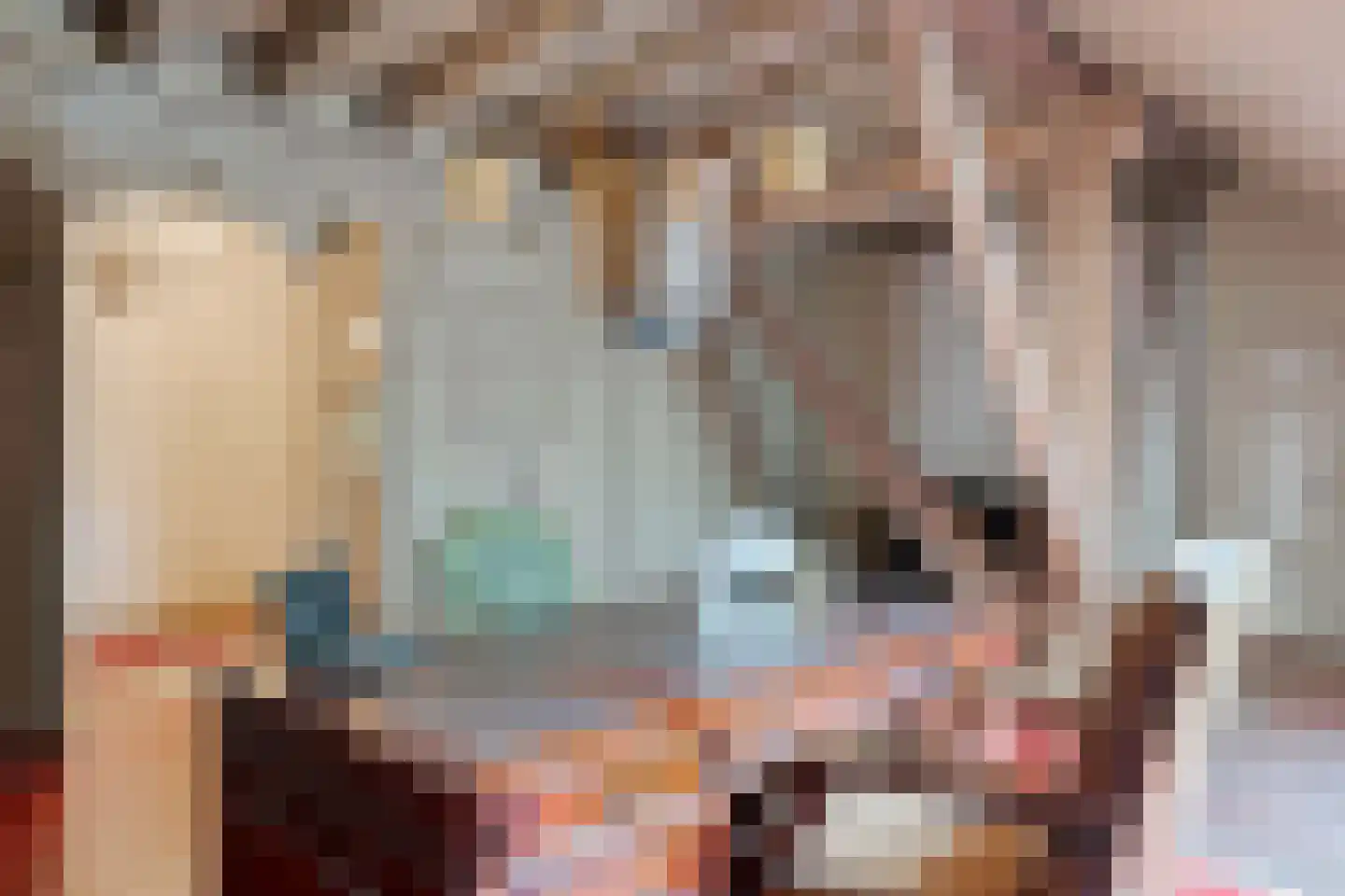 Dorpsstraat 98 Vriescheloo thumbnail 71