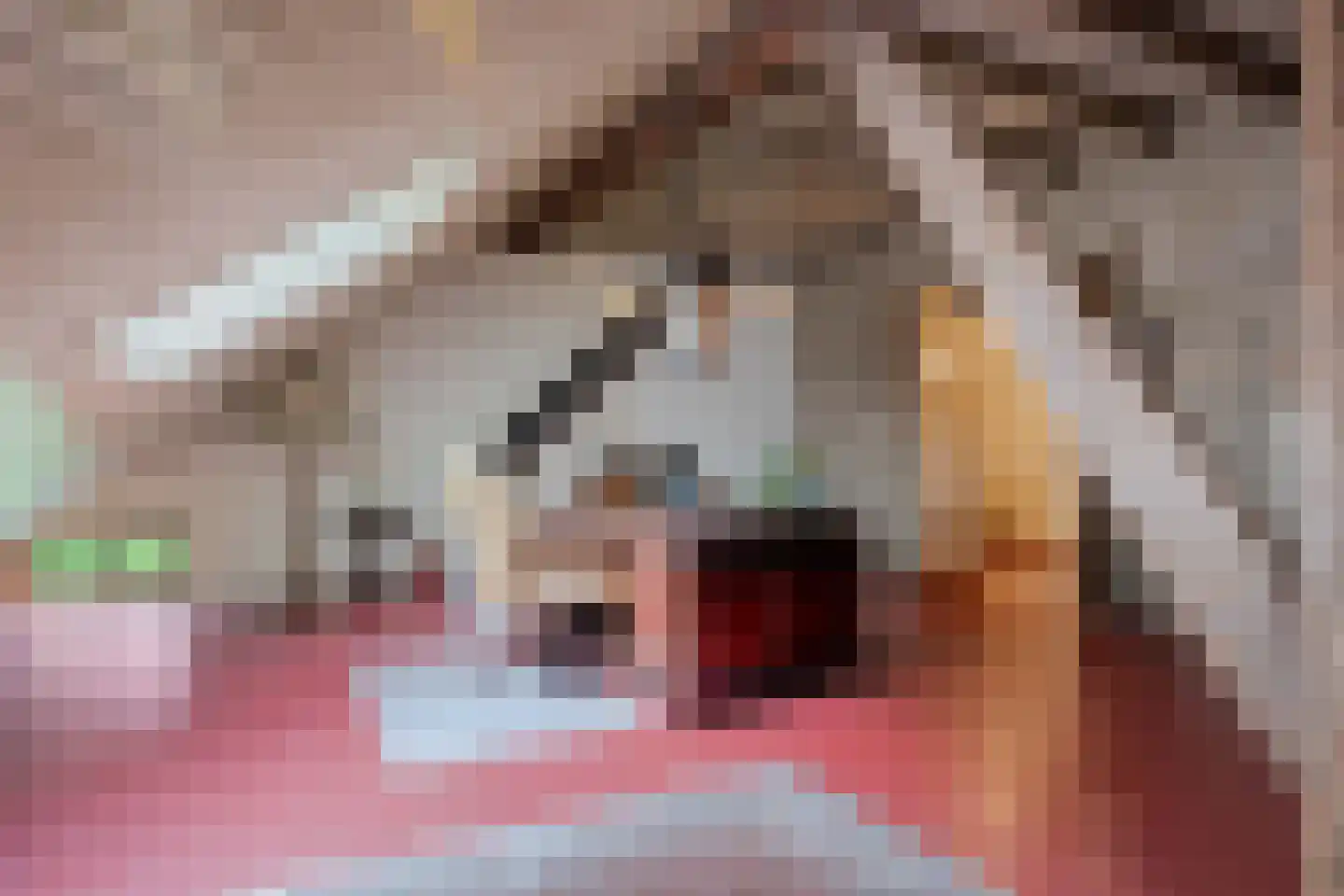 Dorpsstraat 98 Vriescheloo thumbnail 72