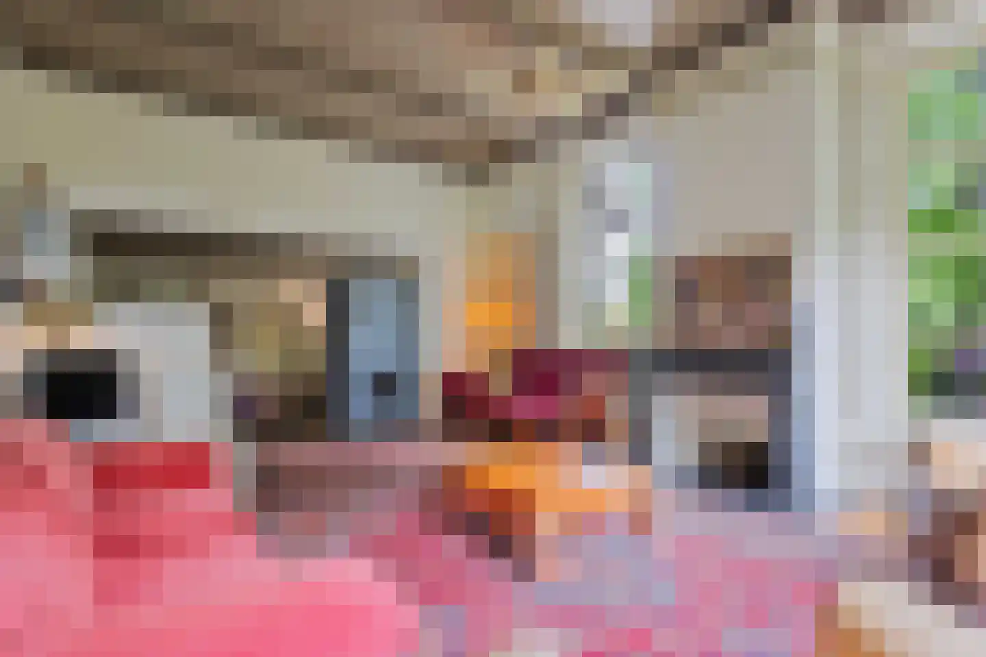 Dorpsstraat 98 Vriescheloo thumbnail 75
