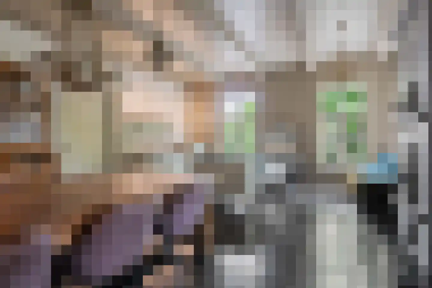 Dorpsstraat 98 Vriescheloo thumbnail 77