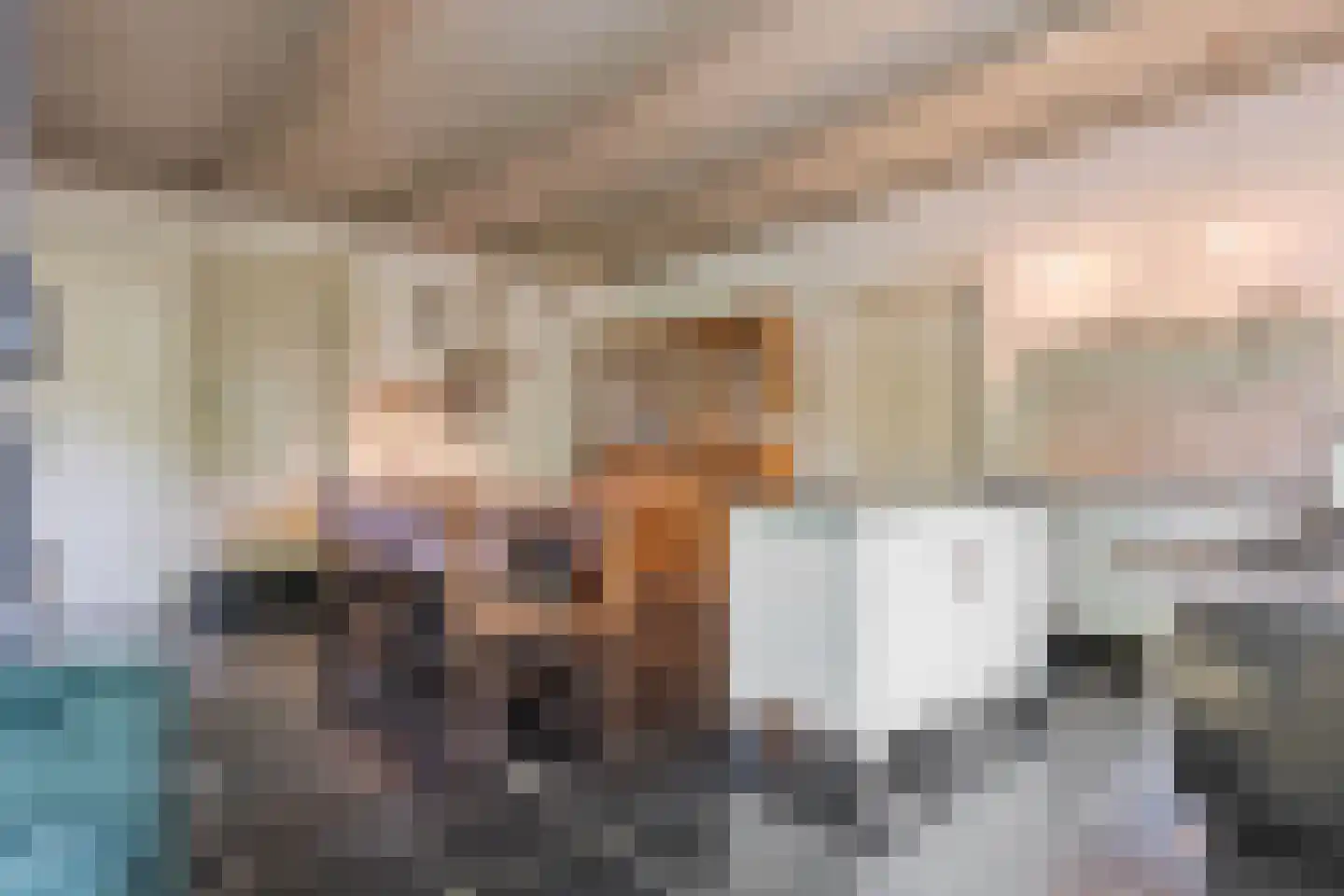 Dorpsstraat 98 Vriescheloo thumbnail 78