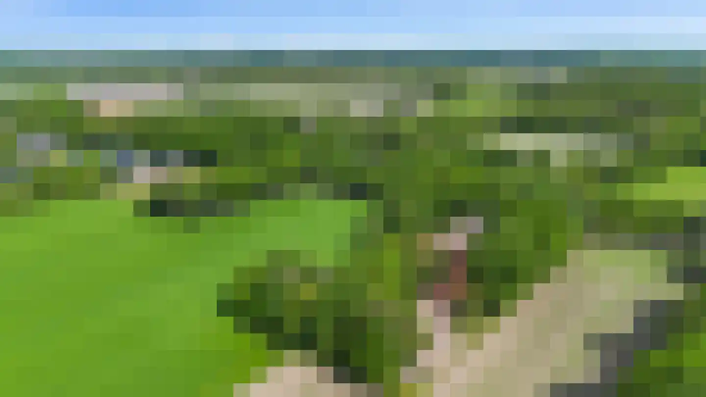 Dorpsstraat 98 Vriescheloo thumbnail 8