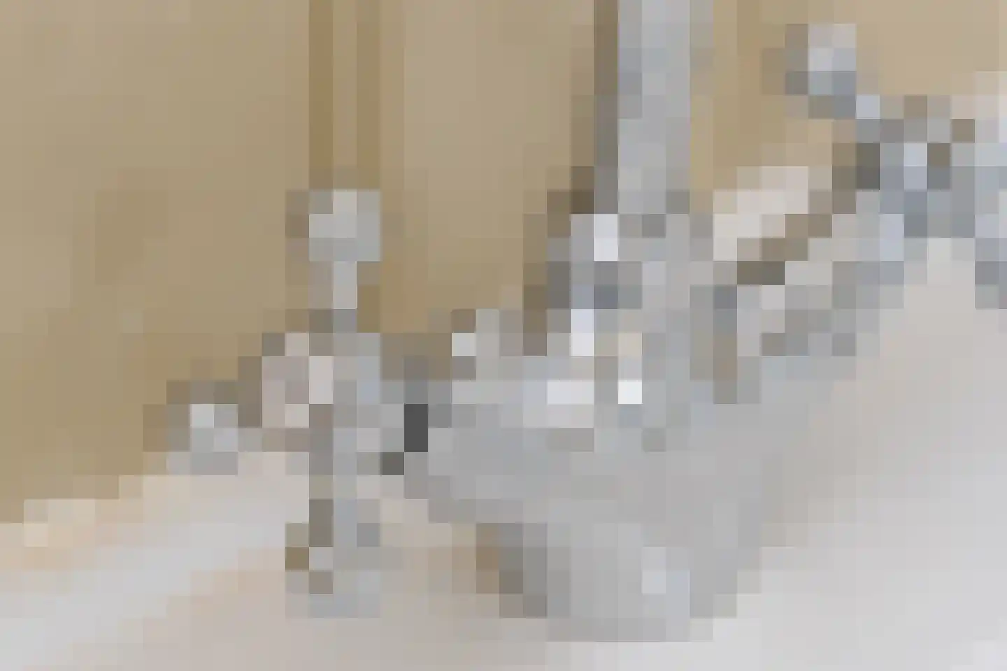 Dorpsstraat 98 Vriescheloo thumbnail 88