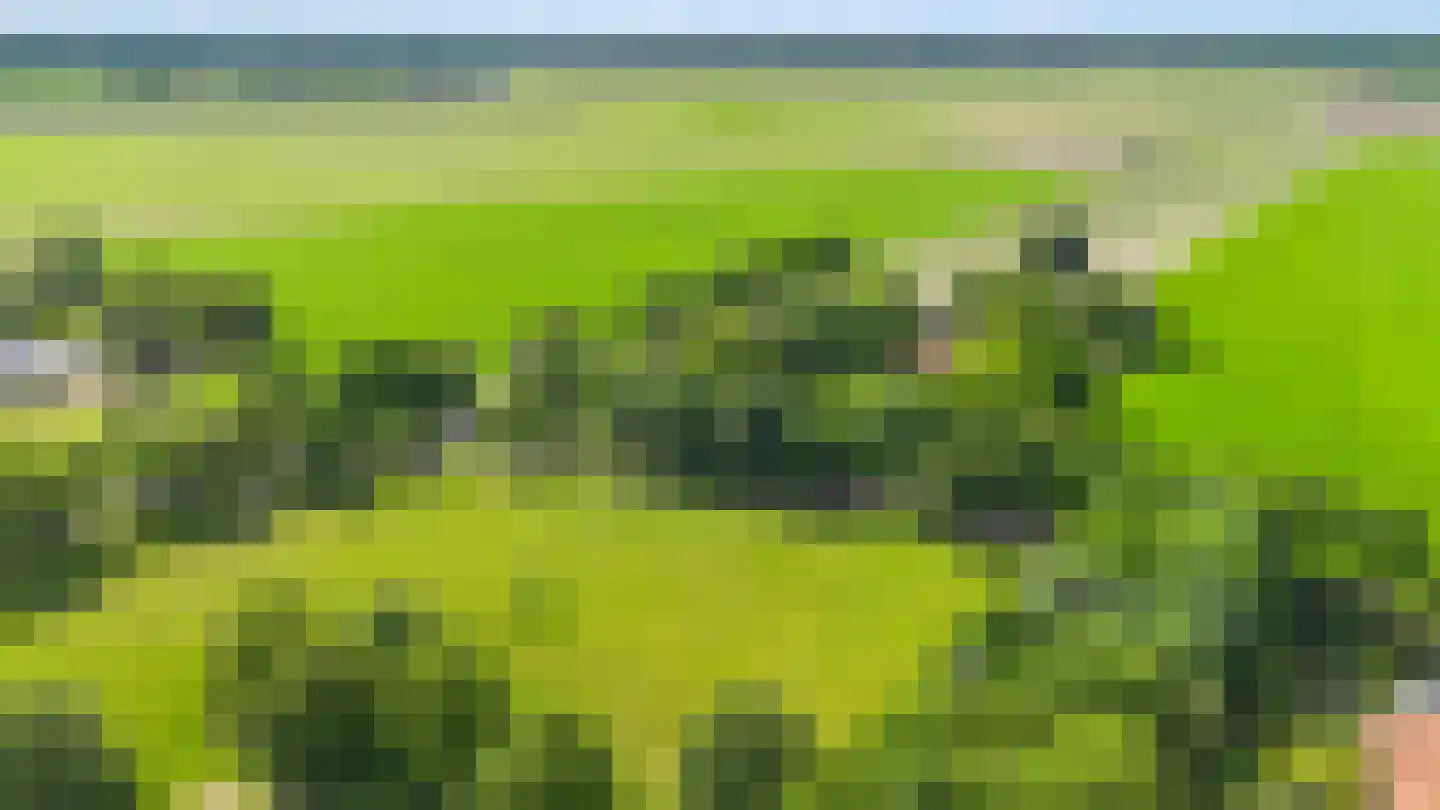 Dorpsstraat 98 Vriescheloo thumbnail 9