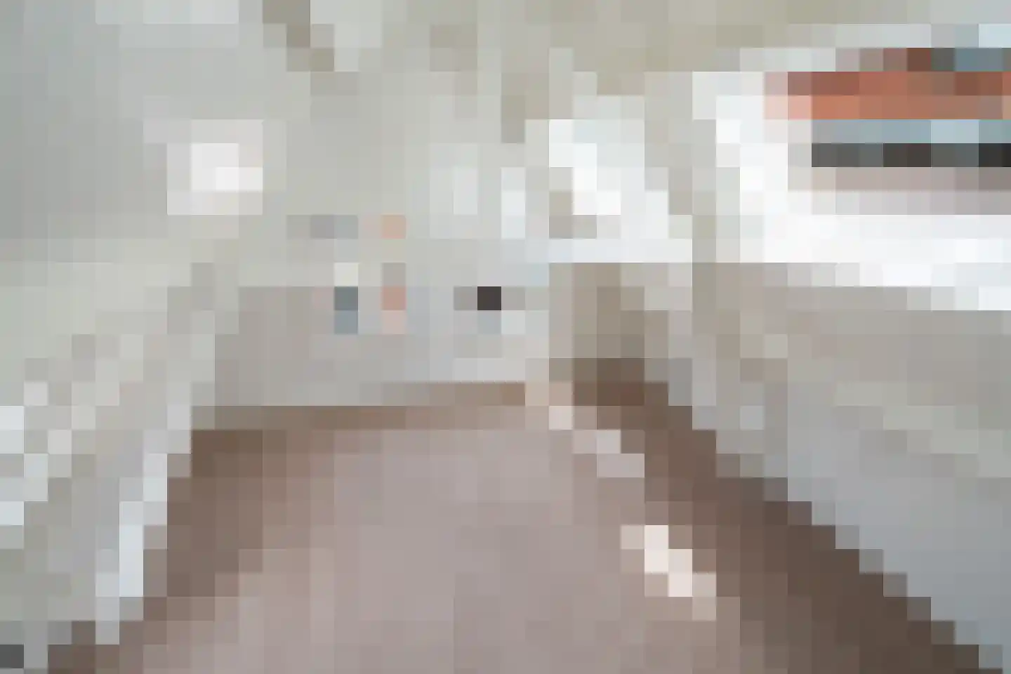 Dorpsstraat 99 F Zoetermeer thumbnail 22