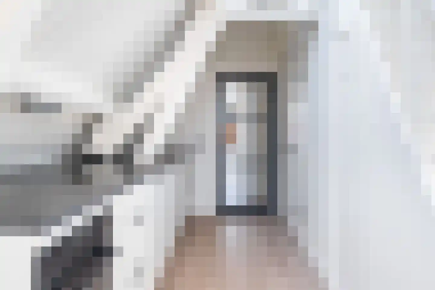 Dorpsstraat 99 F Zoetermeer thumbnail 24