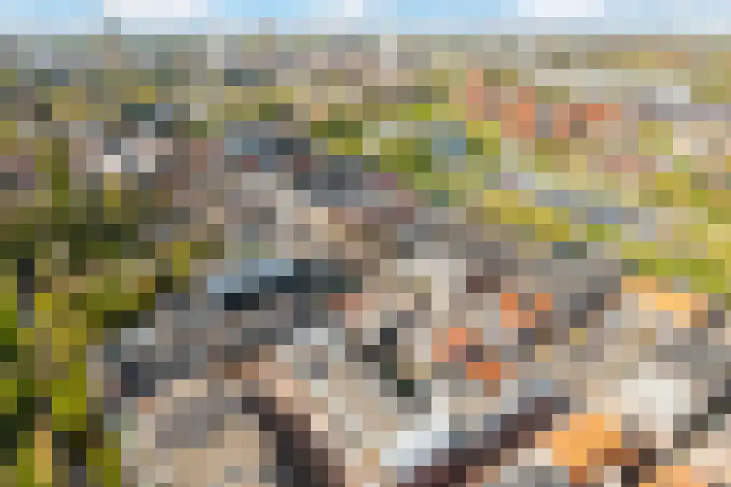Dorpsstraat 99 F Zoetermeer thumbnail 40