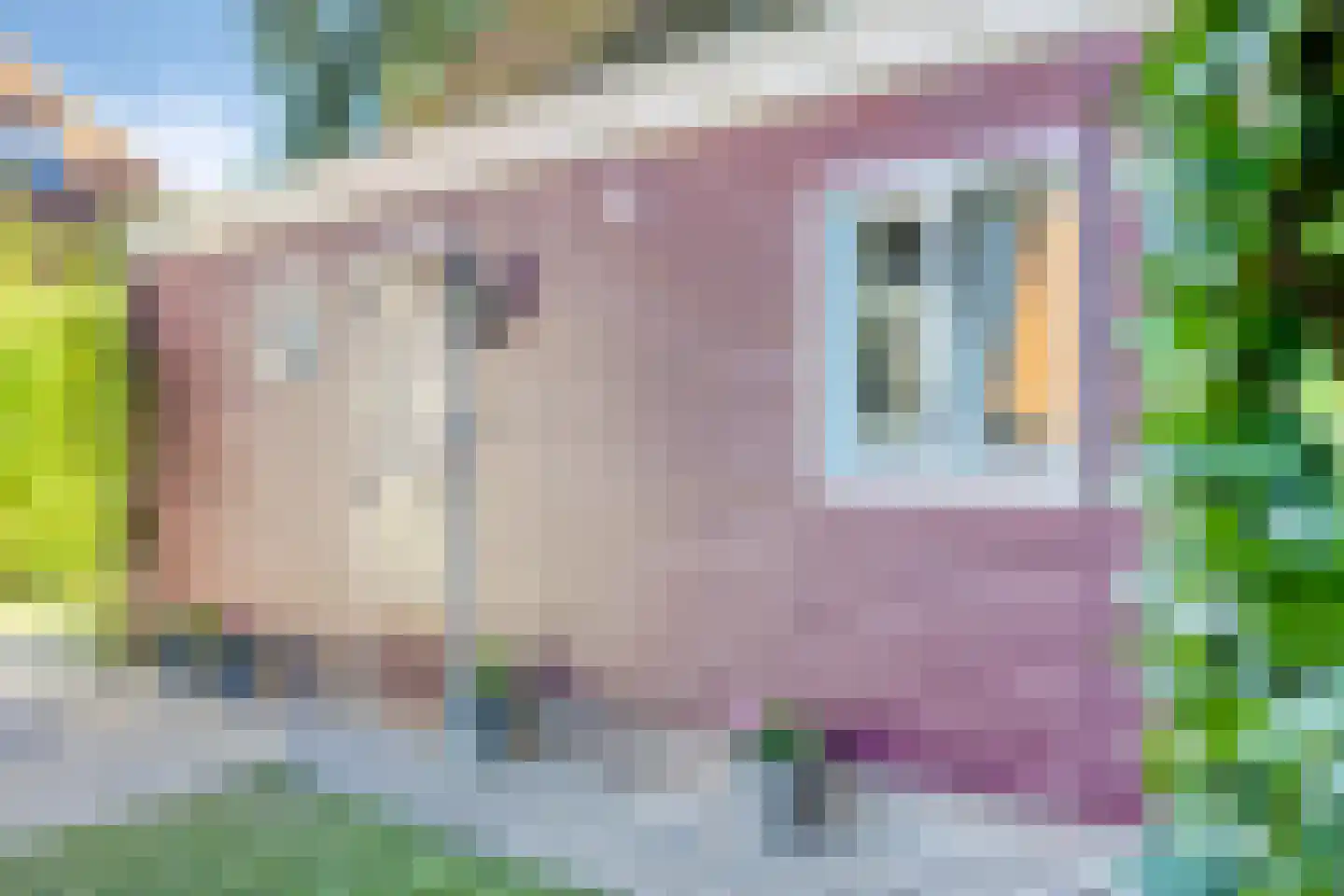 Dorpsstraat Holysloot 19 Amsterdam thumbnail 35