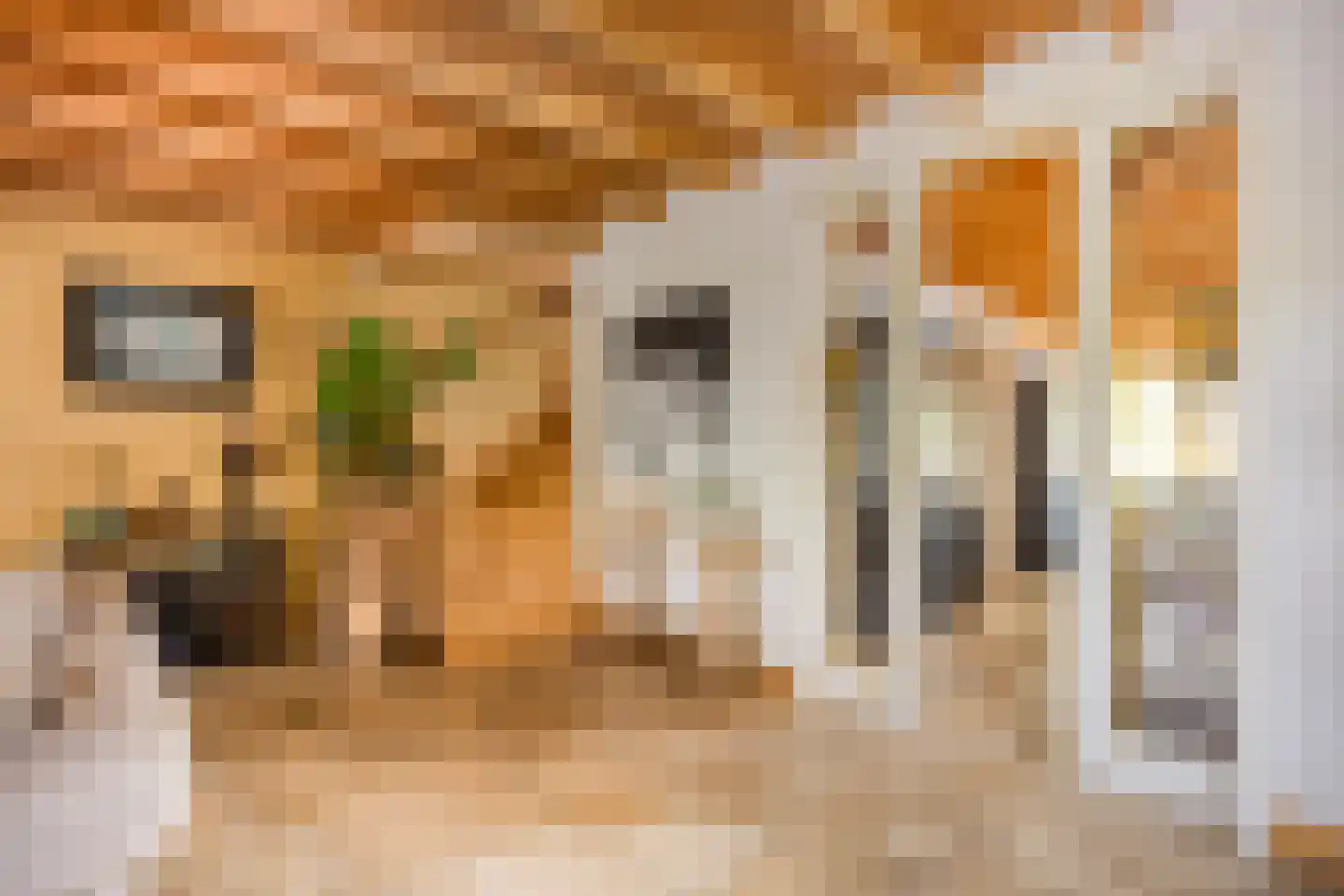 Dorpsstraat Holysloot 23 Amsterdam thumbnail 16