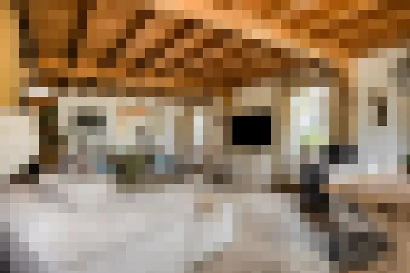 Dorpsstraat Holysloot 23 Amsterdam thumbnail 21