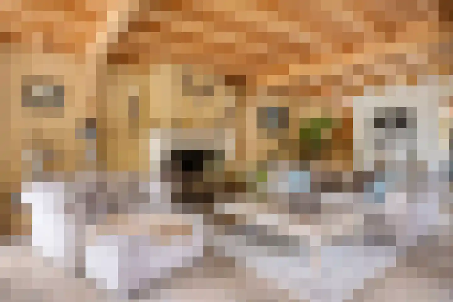 Dorpsstraat Holysloot 23 Amsterdam thumbnail 26
