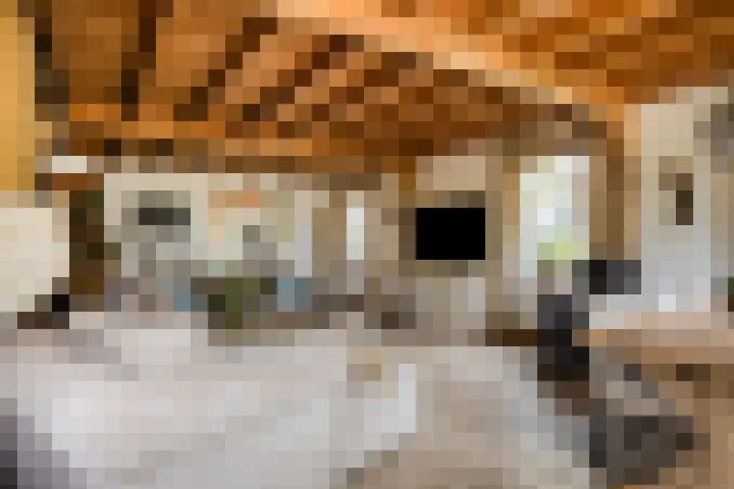 Dorpsstraat Holysloot 23 Amsterdam thumbnail 26