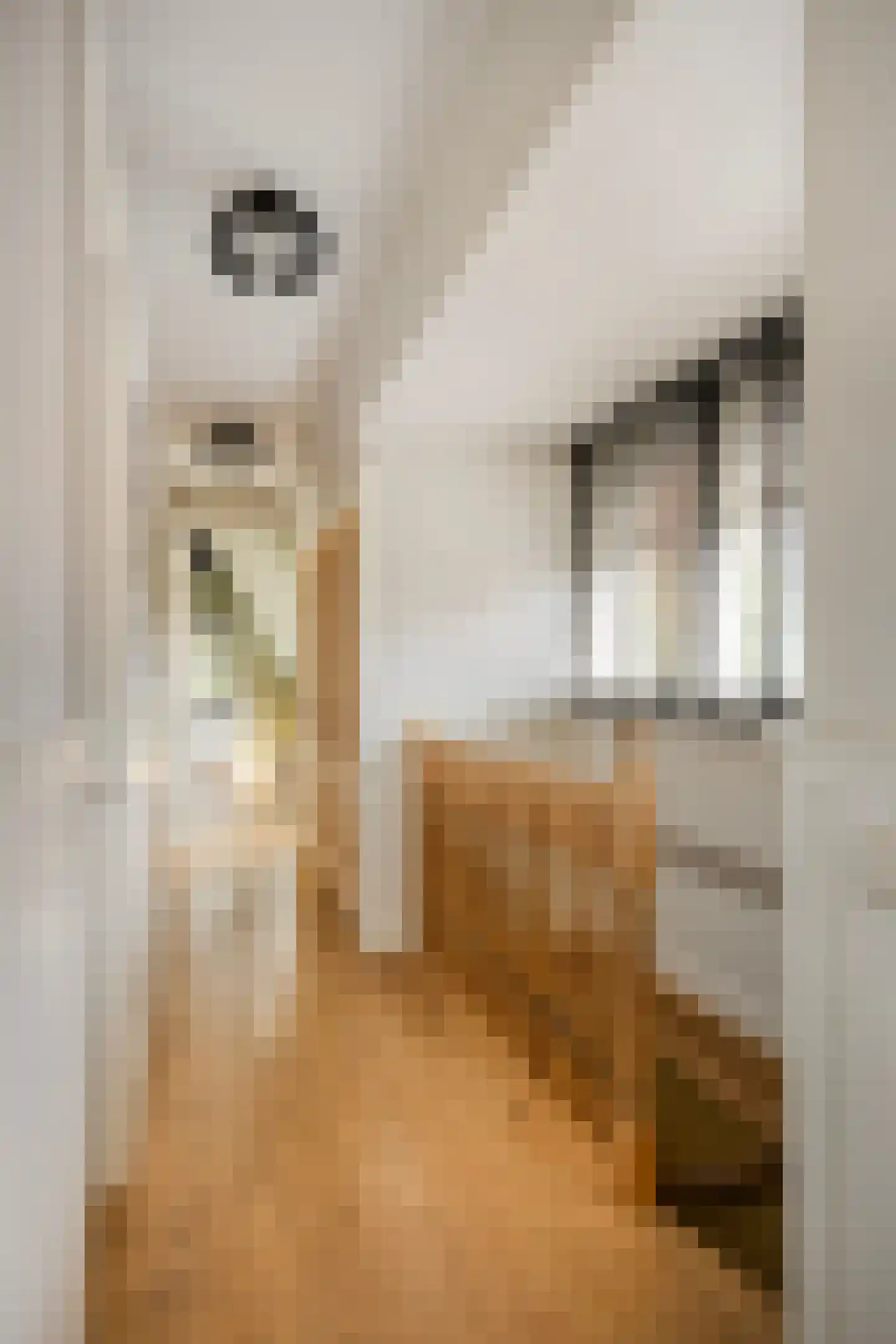 Dorpsstraat Holysloot 23 Amsterdam thumbnail 33