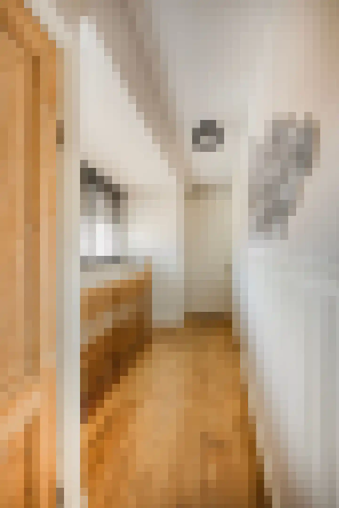 Dorpsstraat Holysloot 23 Amsterdam thumbnail 34