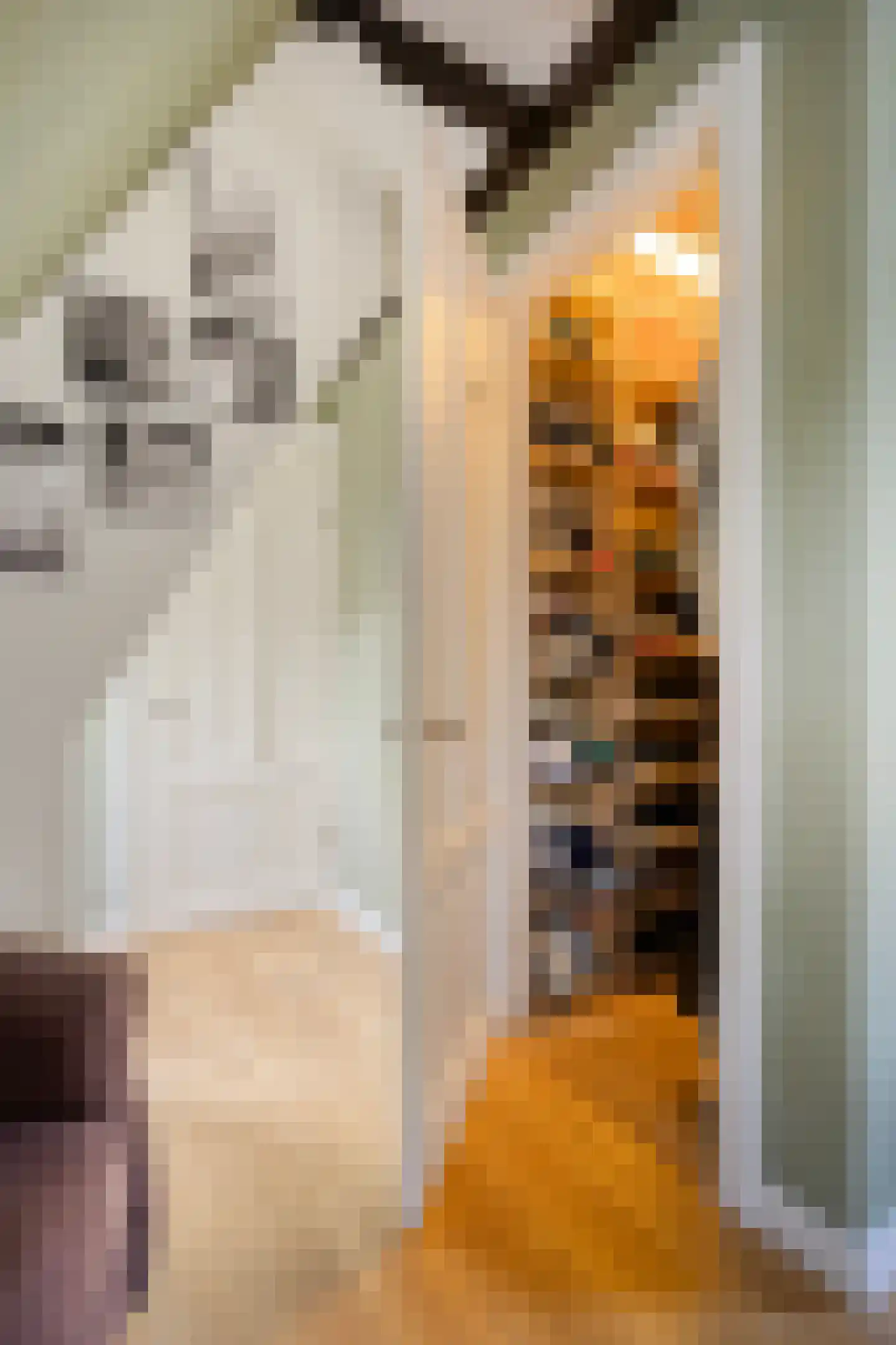 Dorpsstraat Holysloot 23 Amsterdam thumbnail 38