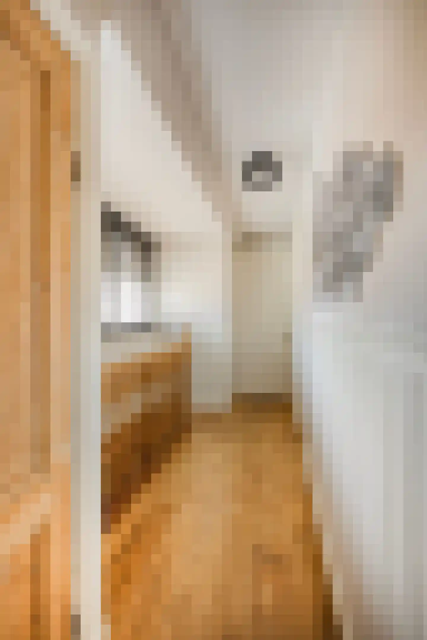 Dorpsstraat Holysloot 23 Amsterdam thumbnail 39