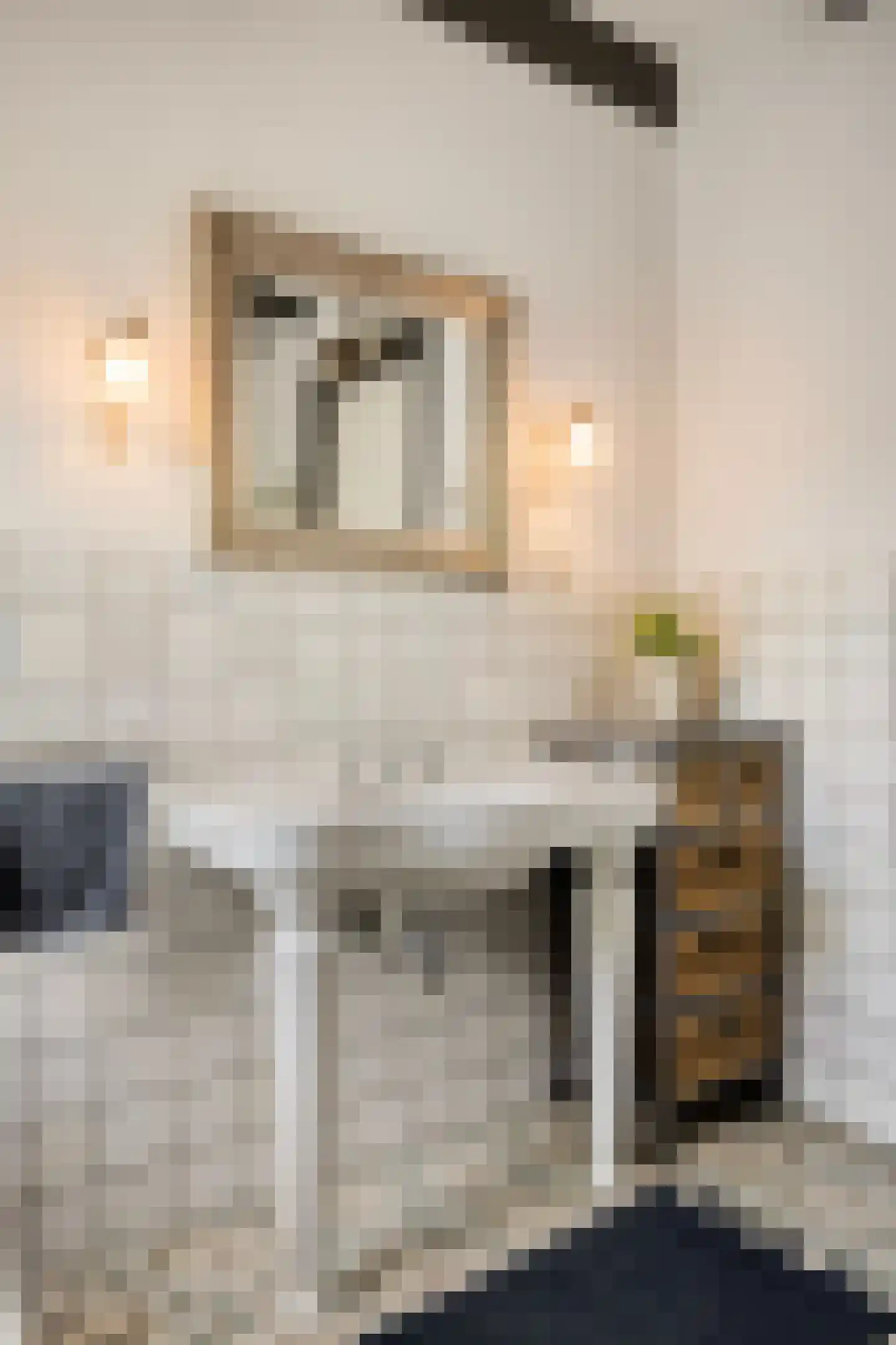 Dorpsstraat Holysloot 23 Amsterdam thumbnail 48