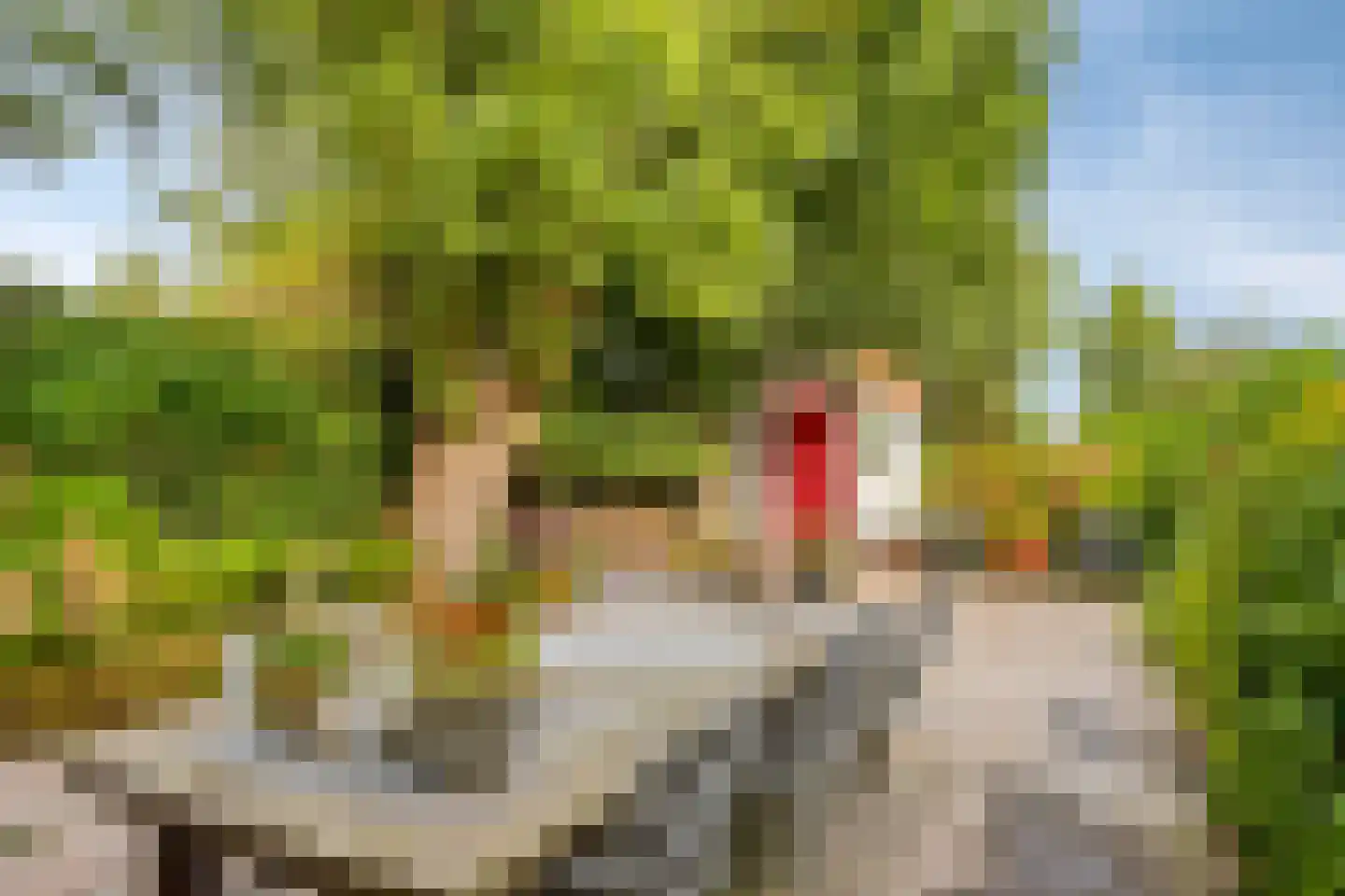 Dorpsstraat Holysloot 23 Amsterdam thumbnail 65