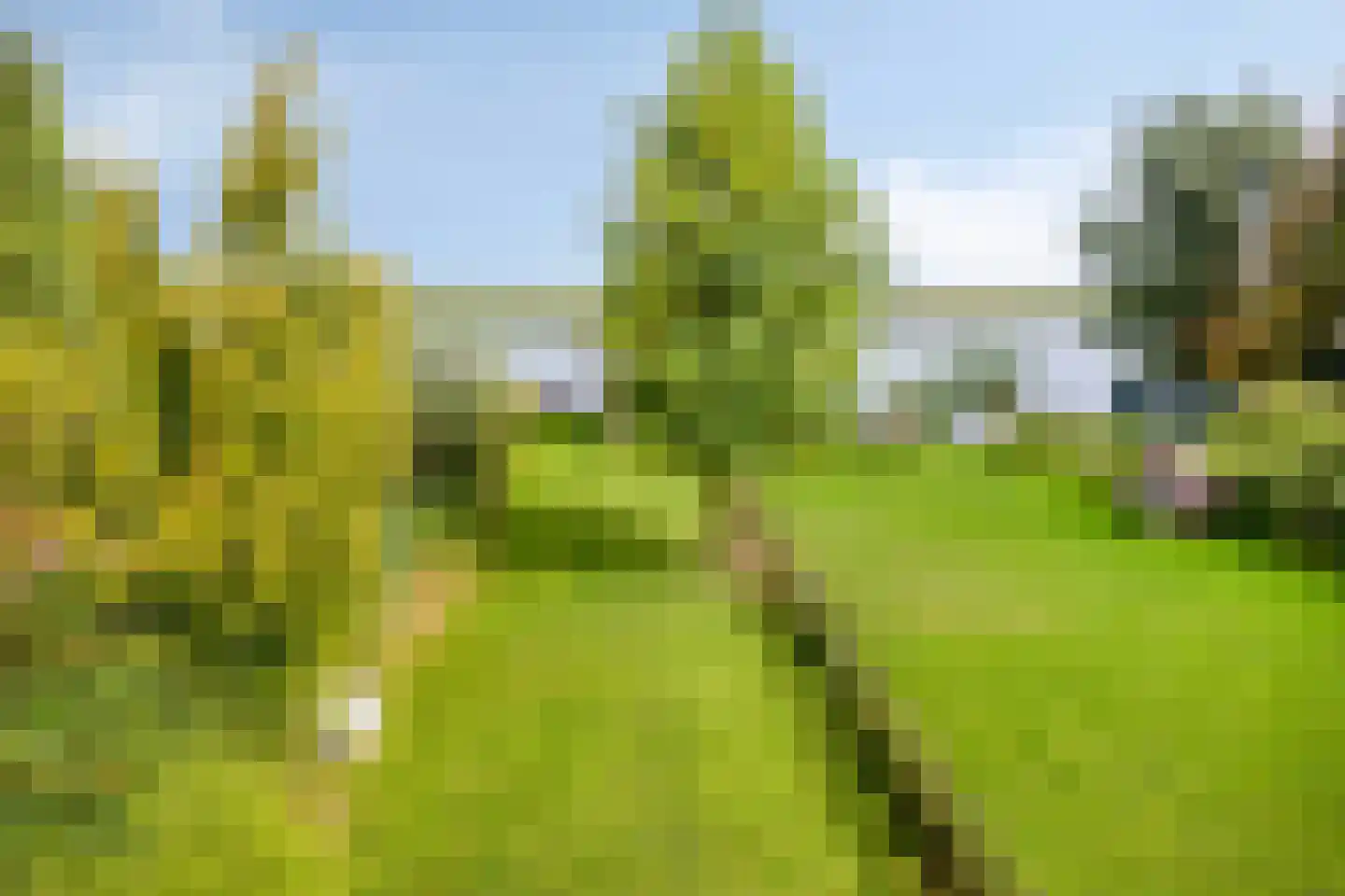 Dorpsstraat Holysloot 23 Amsterdam thumbnail 89