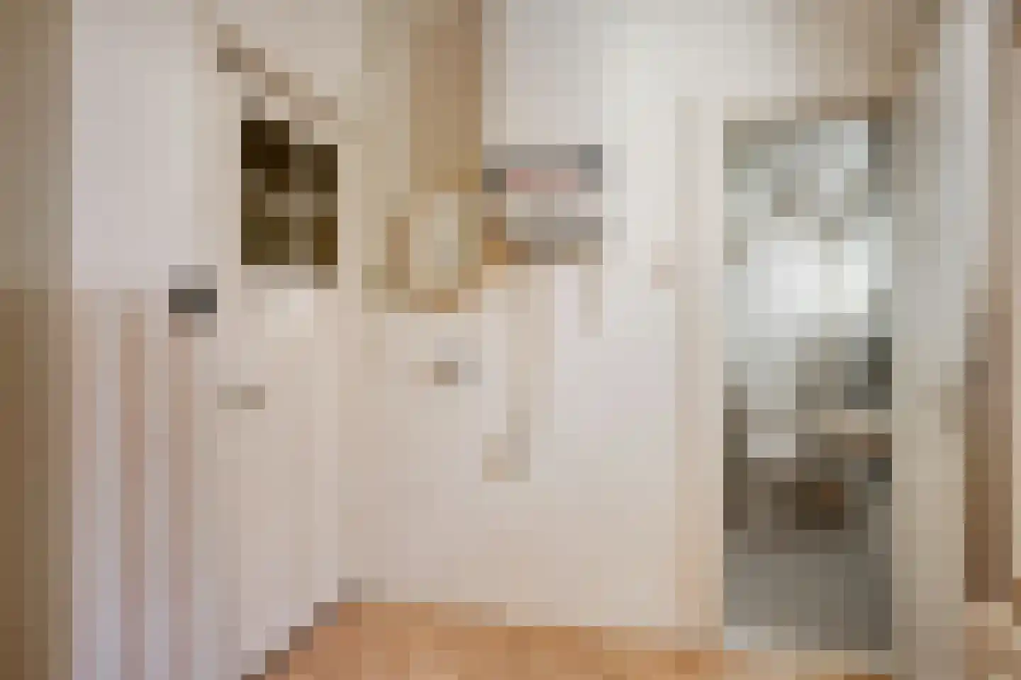 Dorpsstraat Holysloot 52 Amsterdam thumbnail 23