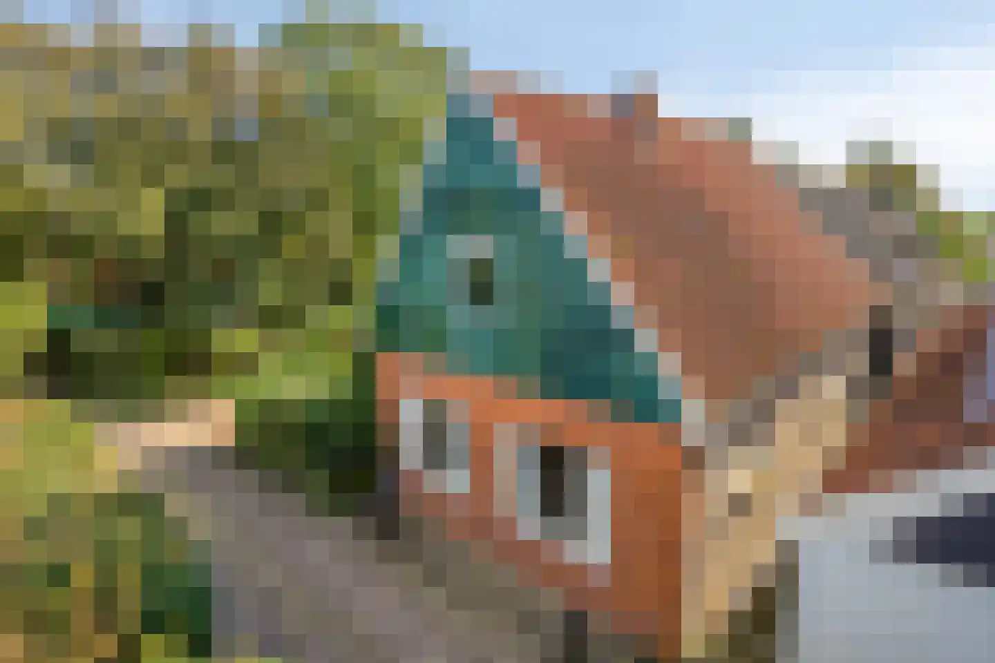 Dorpsstraat Holysloot 52 Amsterdam thumbnail 38