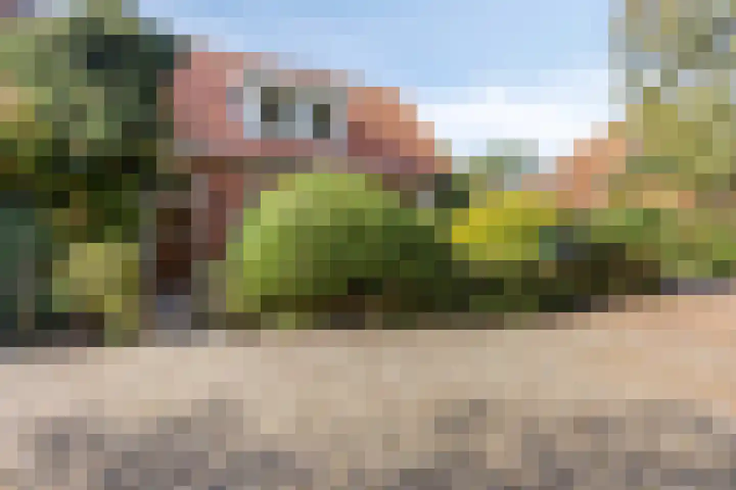 Dorpsstraat Holysloot 52 Amsterdam thumbnail 9
