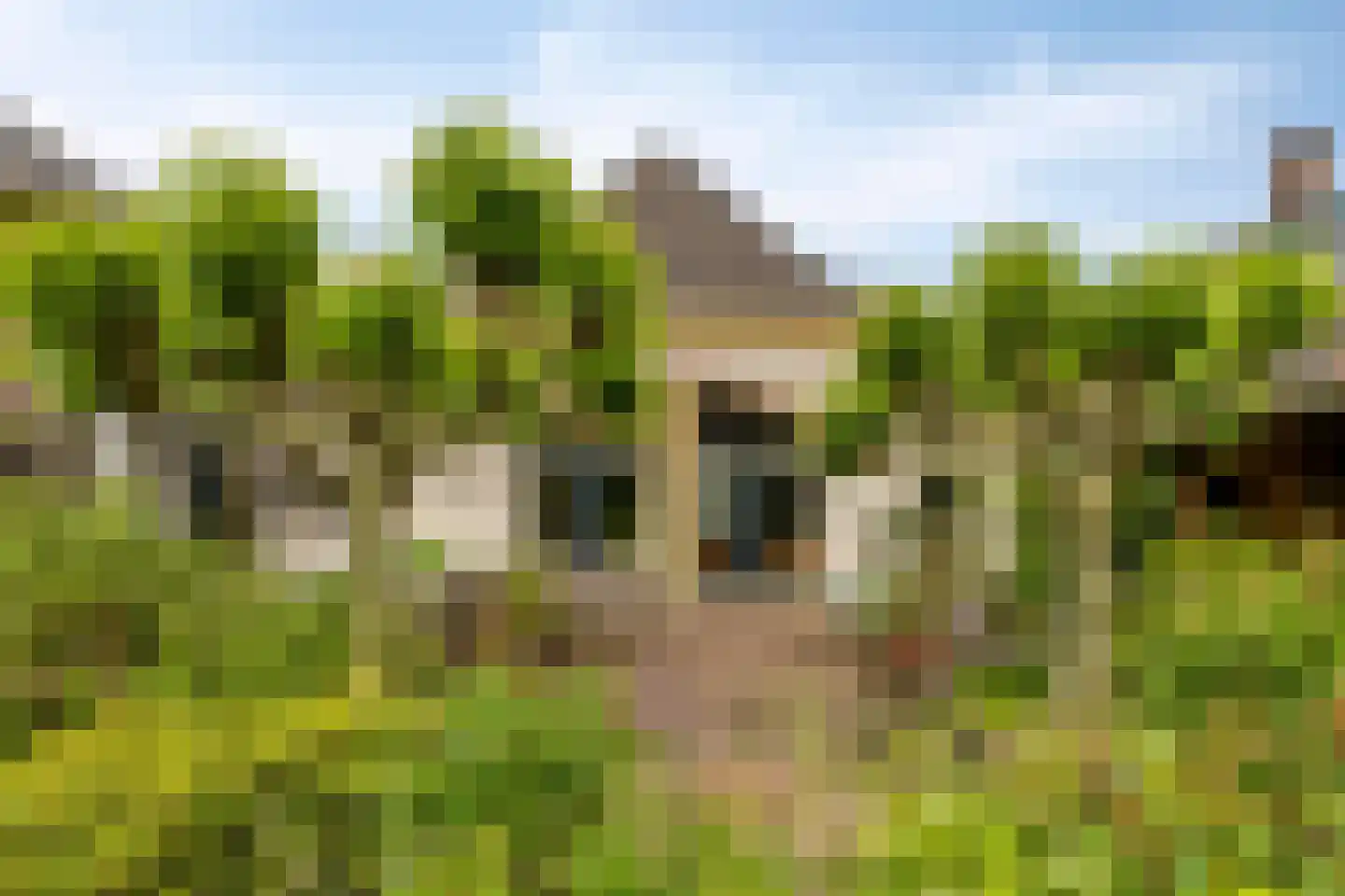 Dorpsstraat LK 23 Laag-Keppel thumbnail 62