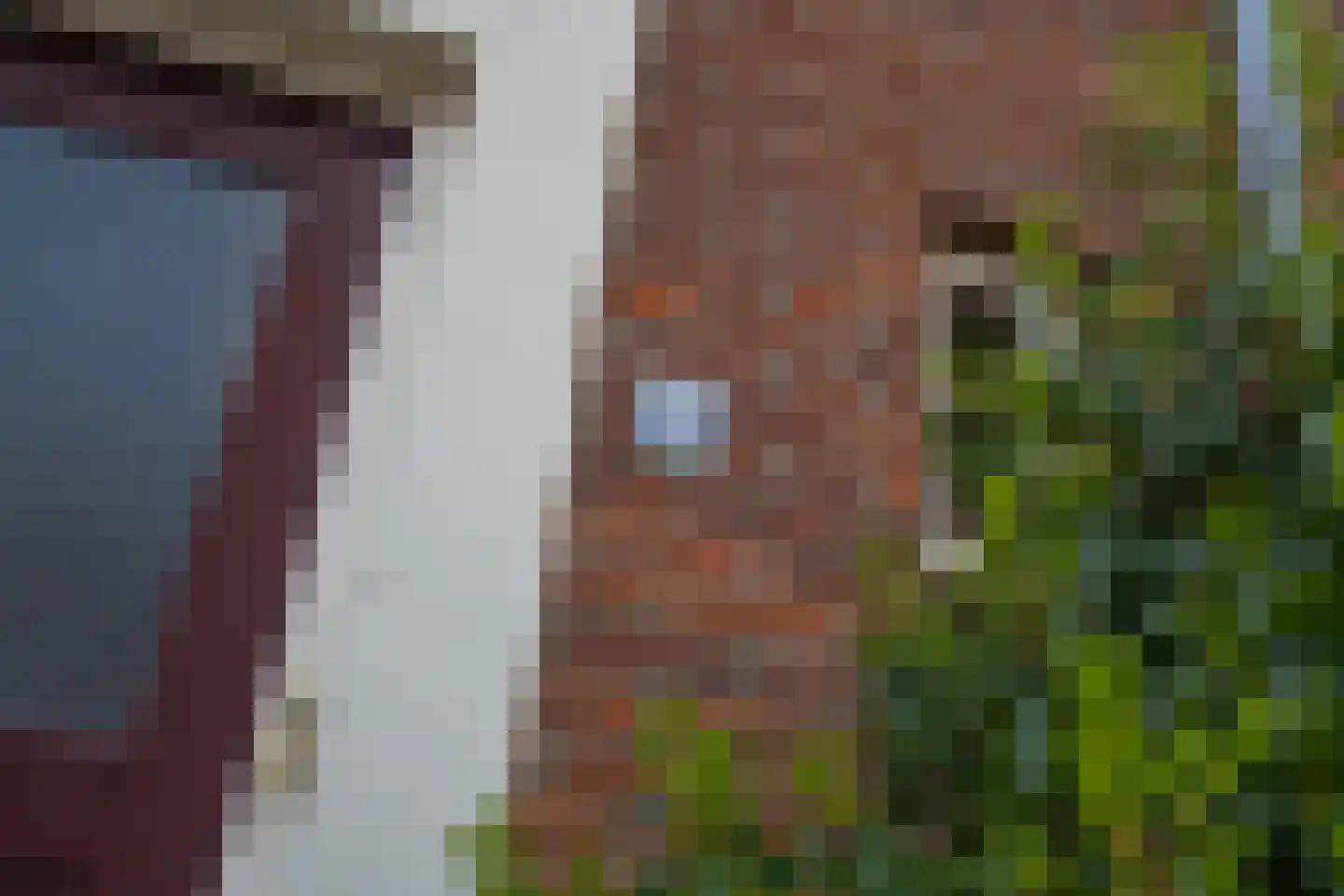 Dorpsstraat-Oost 49 Tiel thumbnail 11