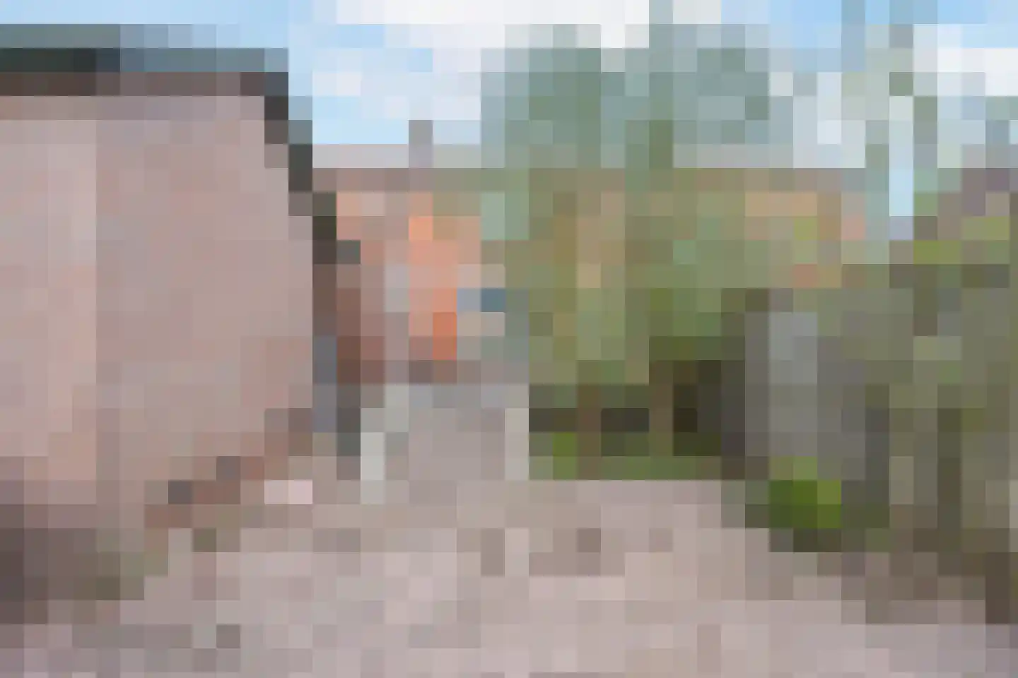 Dorpsstraat-Oost 49 Tiel thumbnail 34