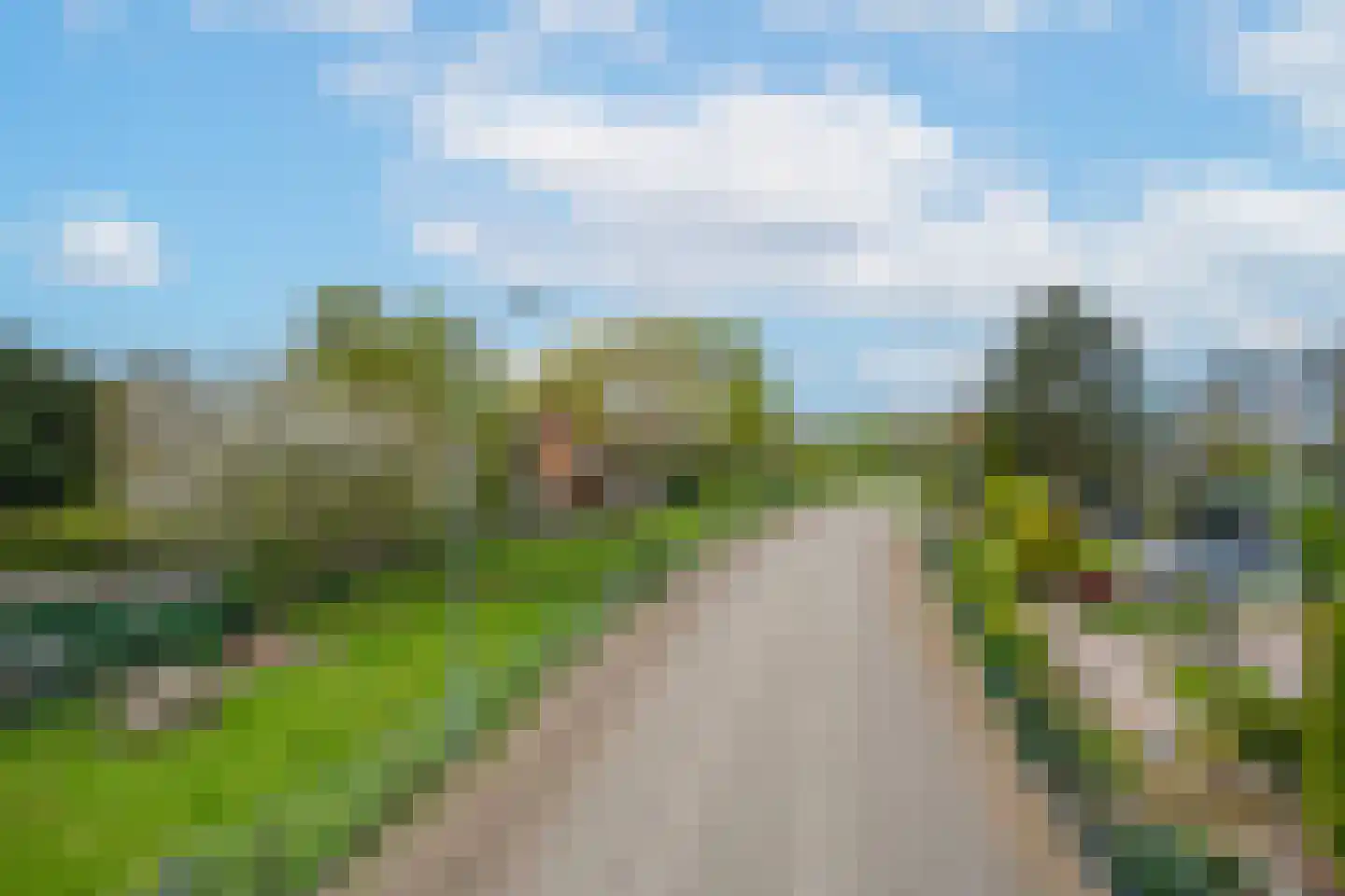 Dorpsstraat-Oost 49 Tiel thumbnail 5