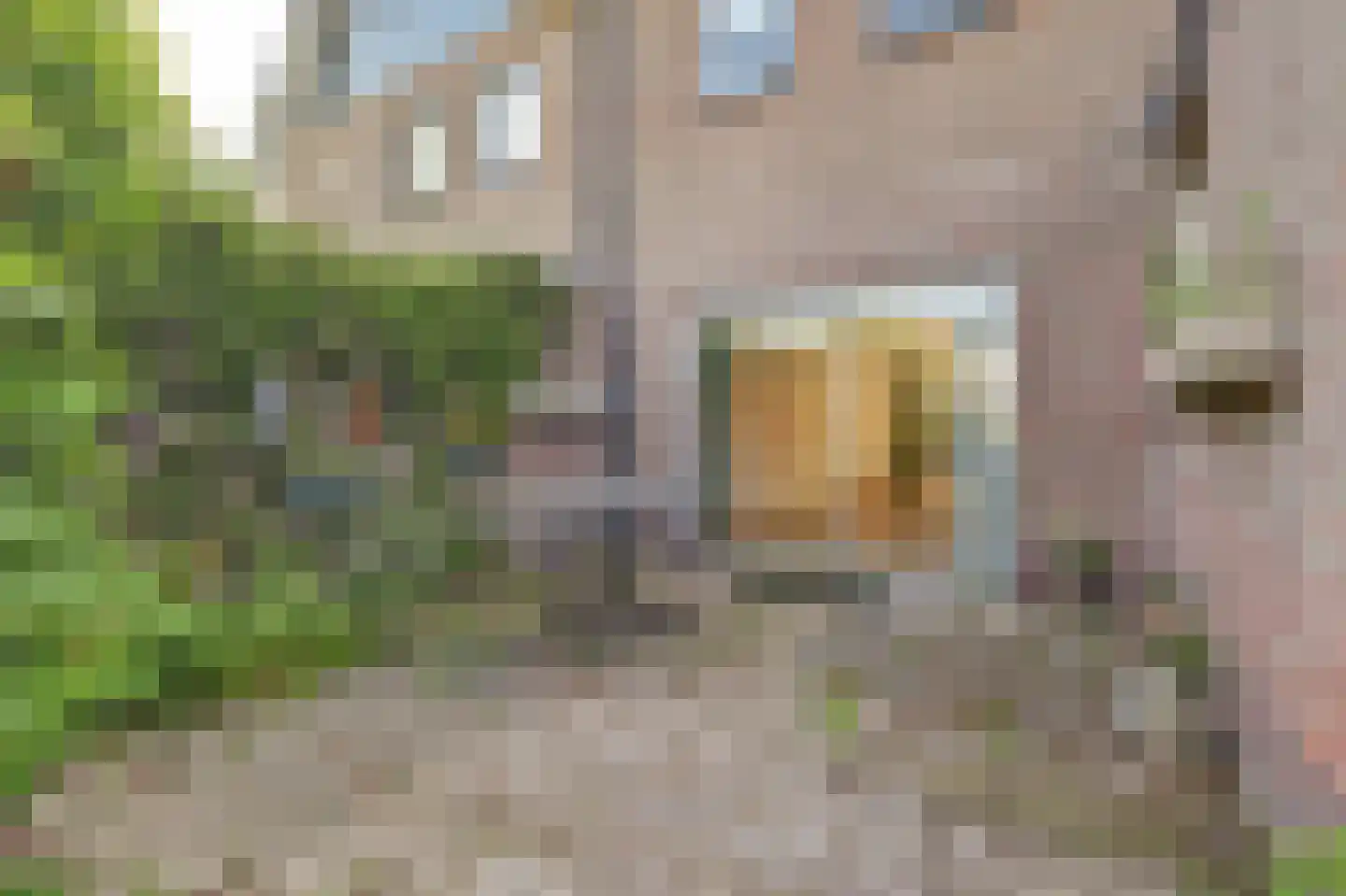 Dorpsstraat-Oost 57 Tiel thumbnail 32