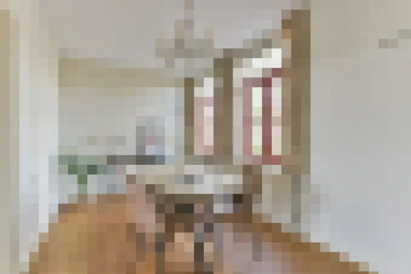 Dorpsstraat vo Steenstraat 23 De Bilt thumbnail 17