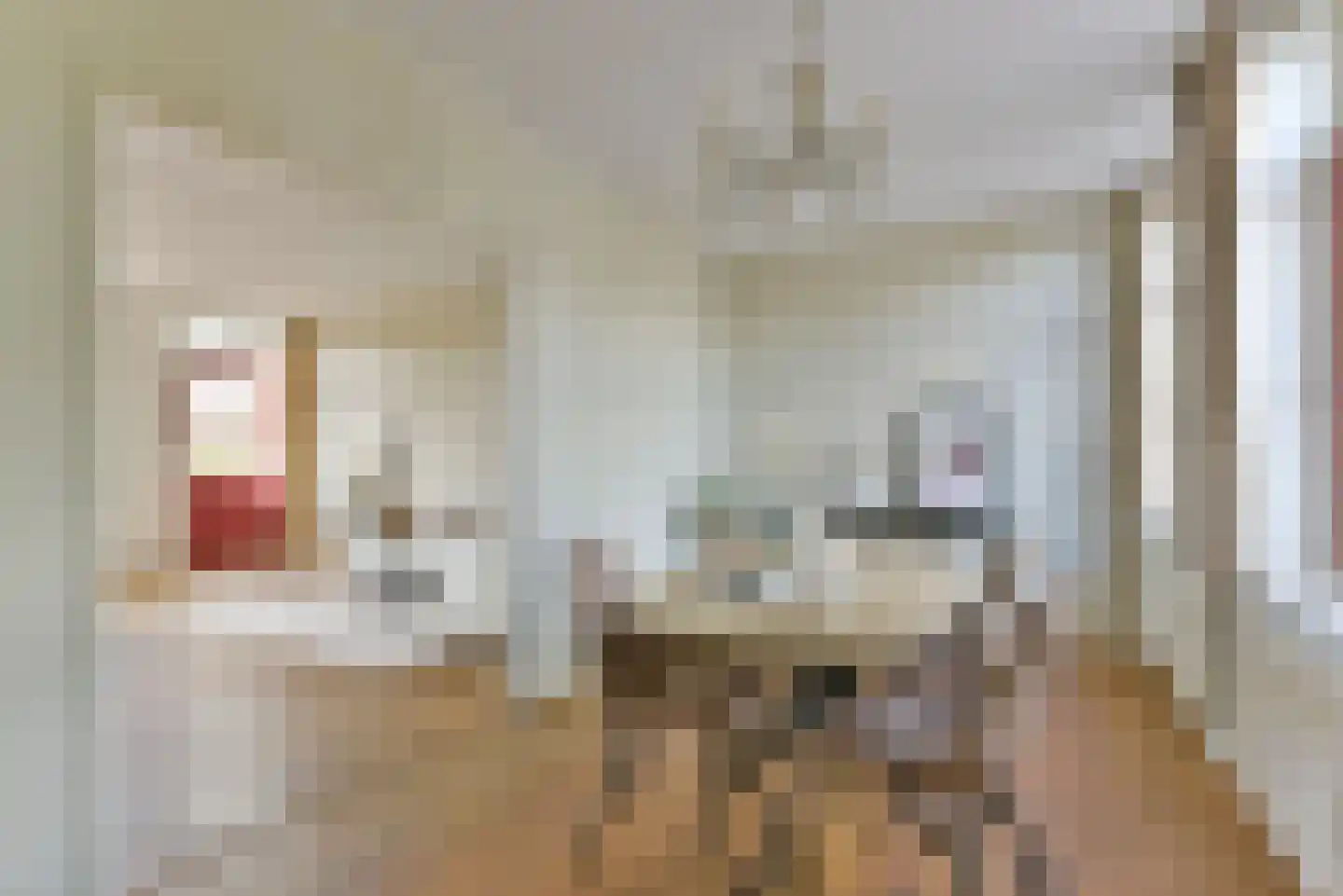 Dorpsstraat vo Steenstraat 23 De Bilt thumbnail 18