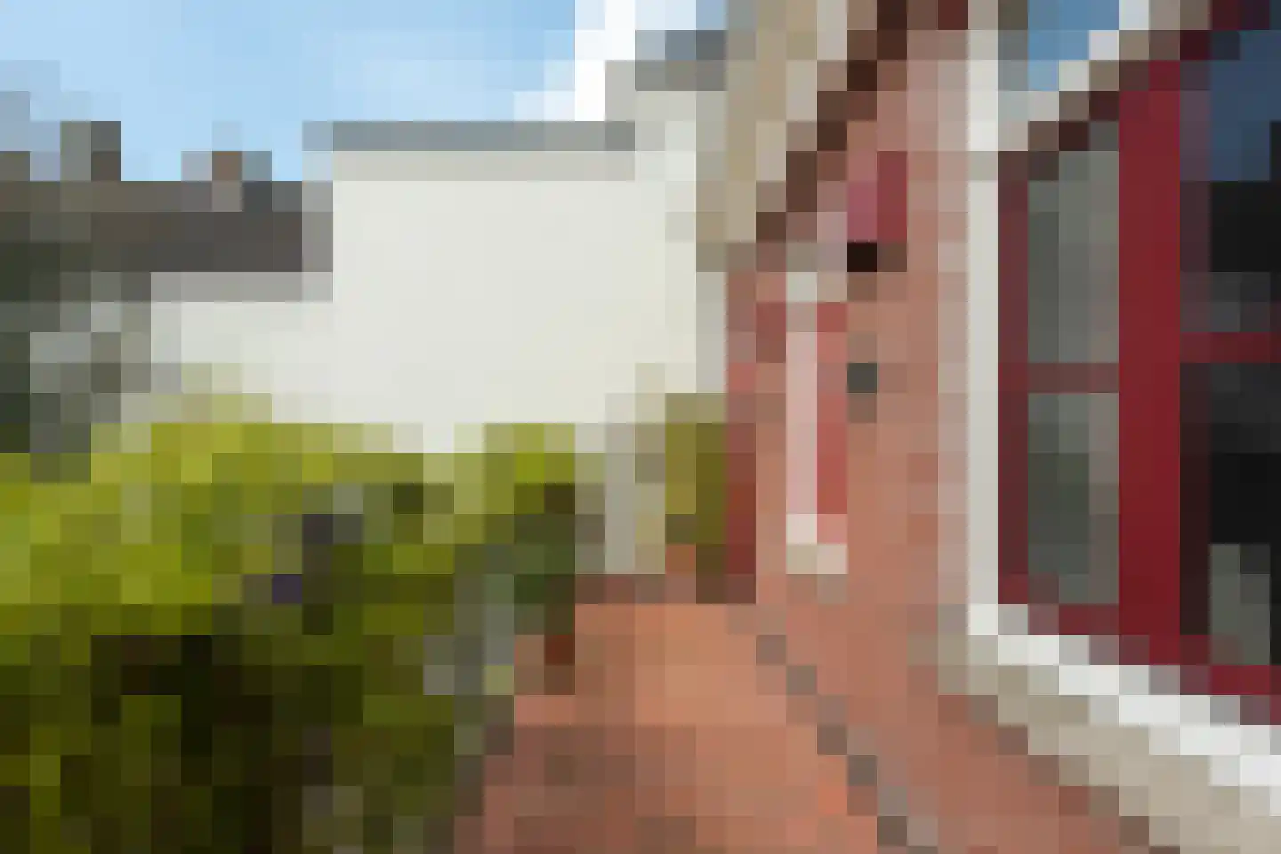 Dorpsstraat vo Steenstraat 23 De Bilt thumbnail 22