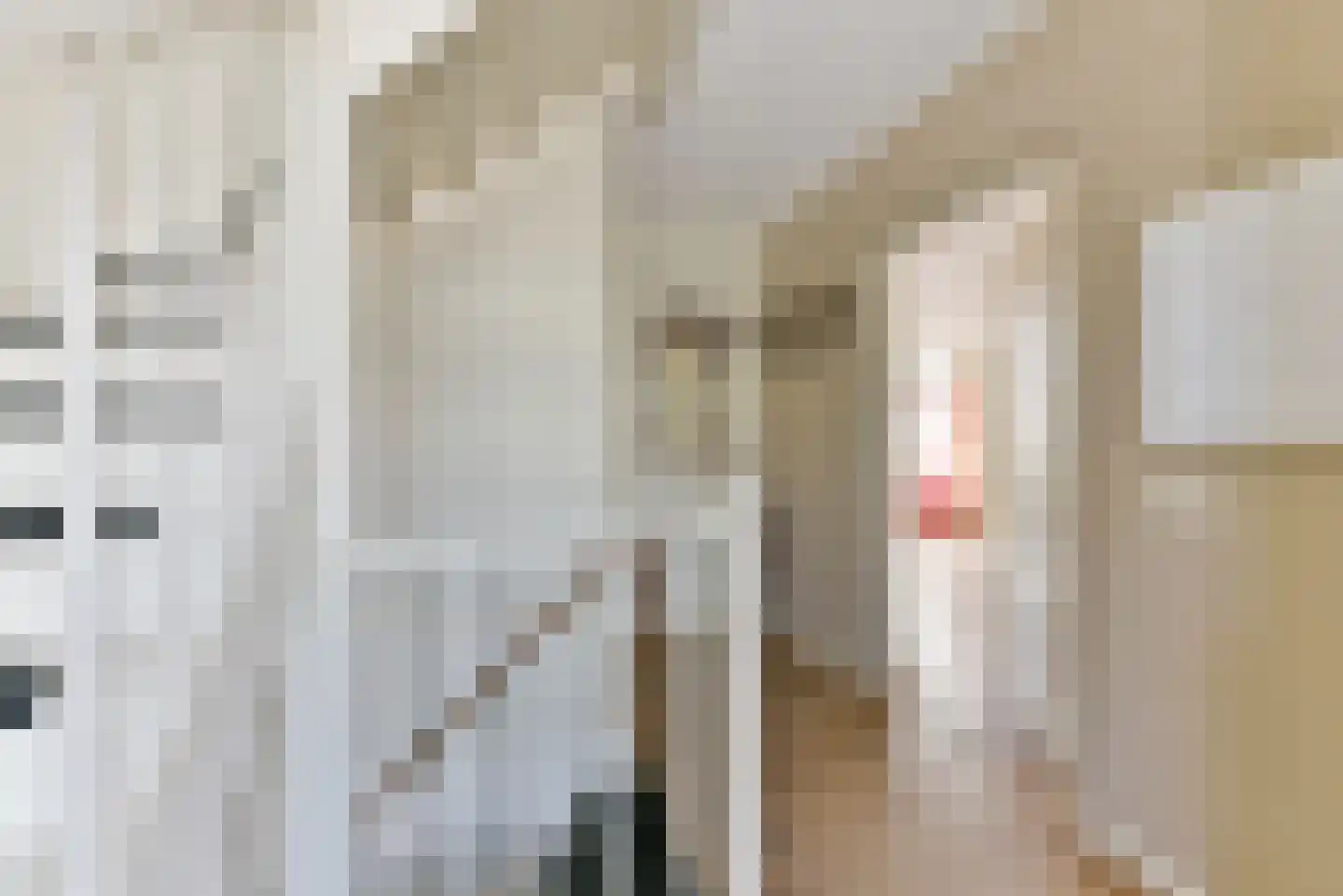 Dorpsstraat vo Steenstraat 23 De Bilt thumbnail 24