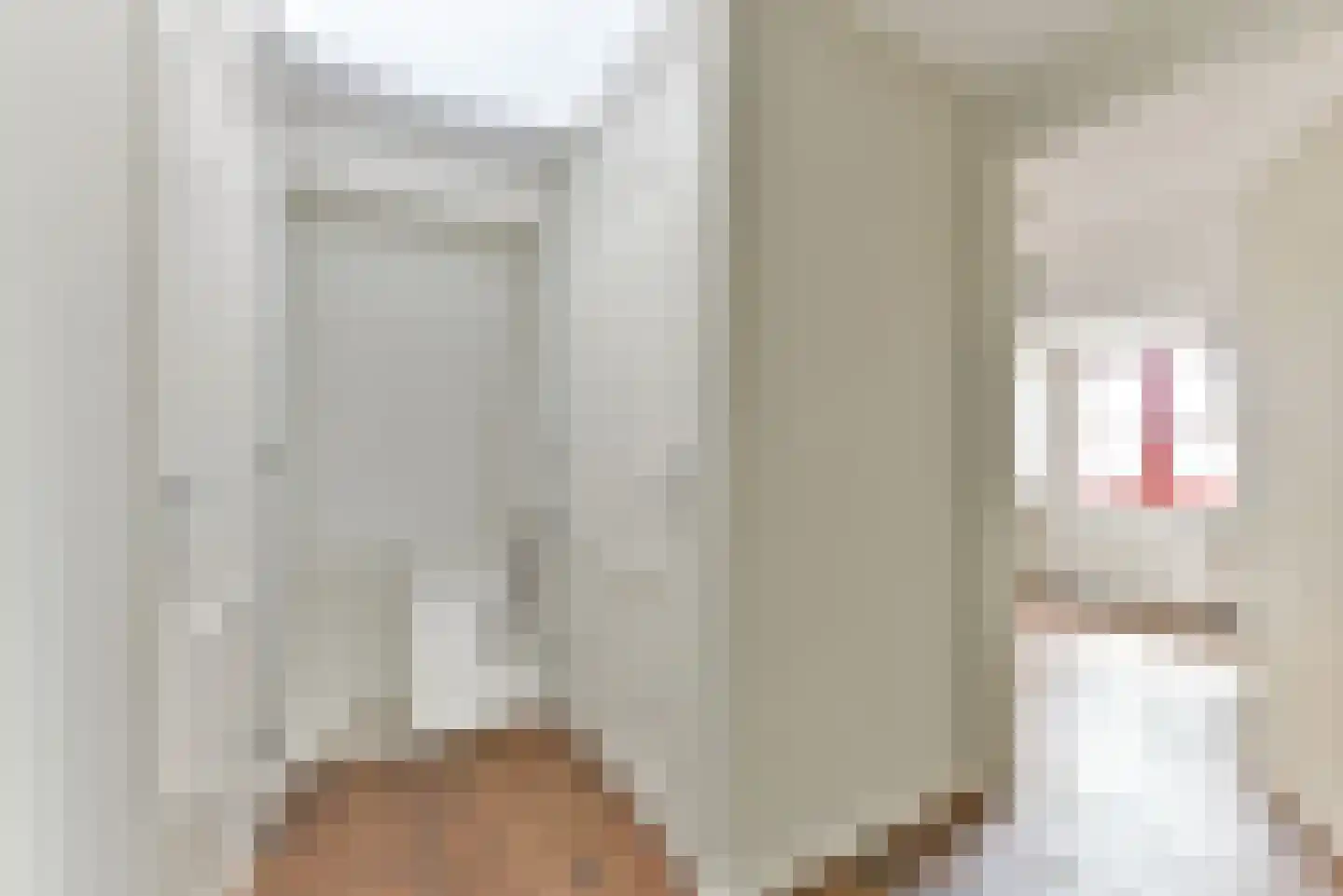 Dorpsstraat vo Steenstraat 23 De Bilt thumbnail 32