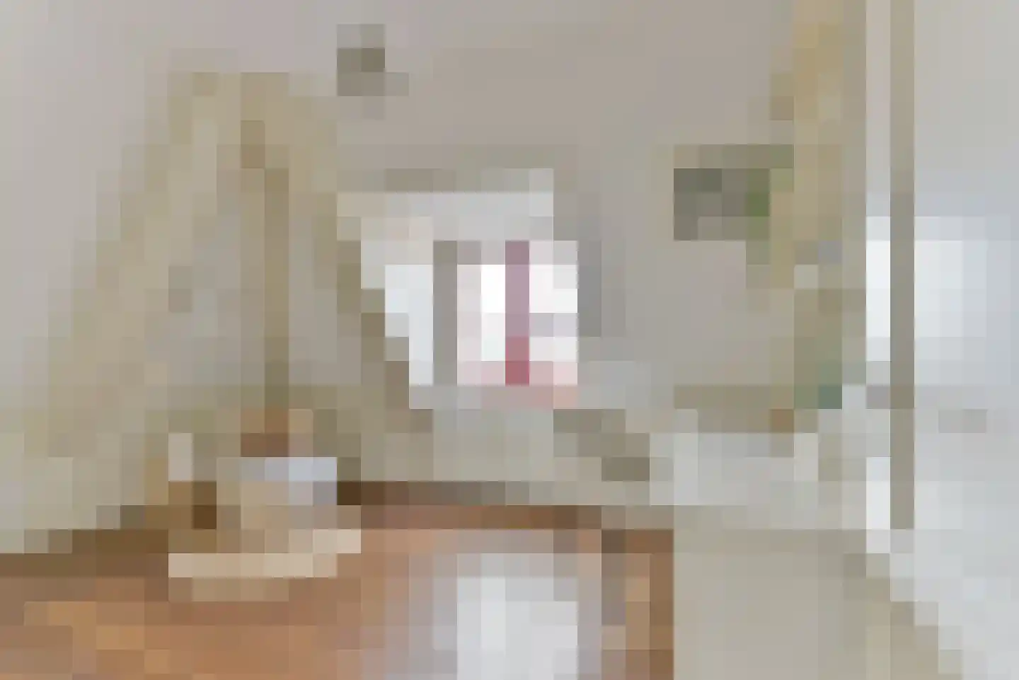Dorpsstraat vo Steenstraat 23 De Bilt thumbnail 33