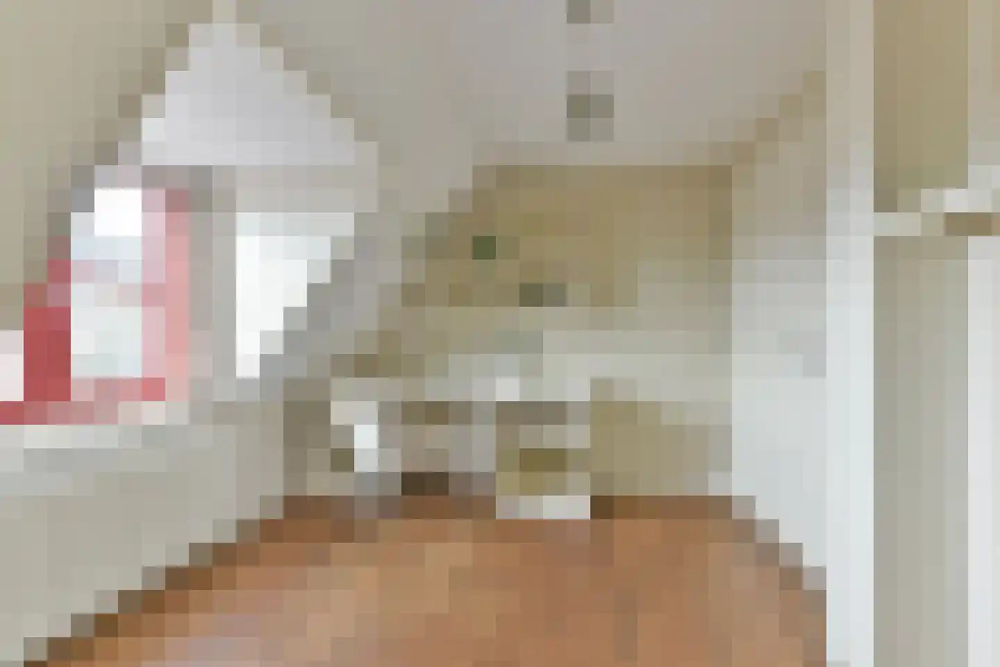 Dorpsstraat vo Steenstraat 23 De Bilt thumbnail 34