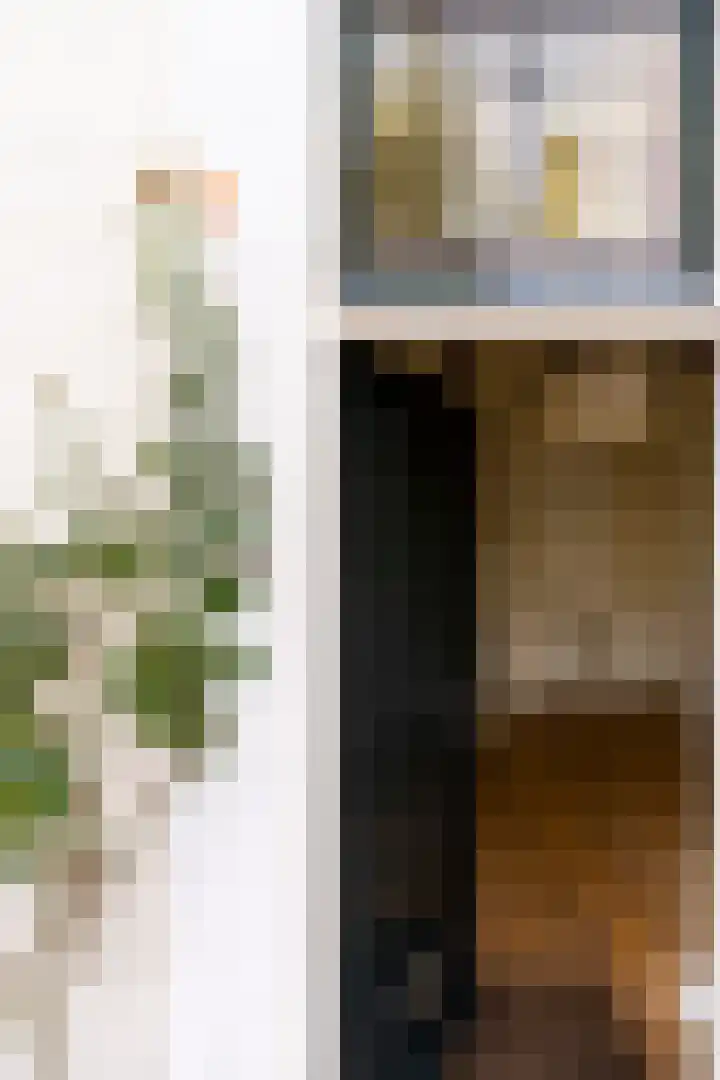 Dorpsstraat vo Steenstraat 71 De Bilt thumbnail 17