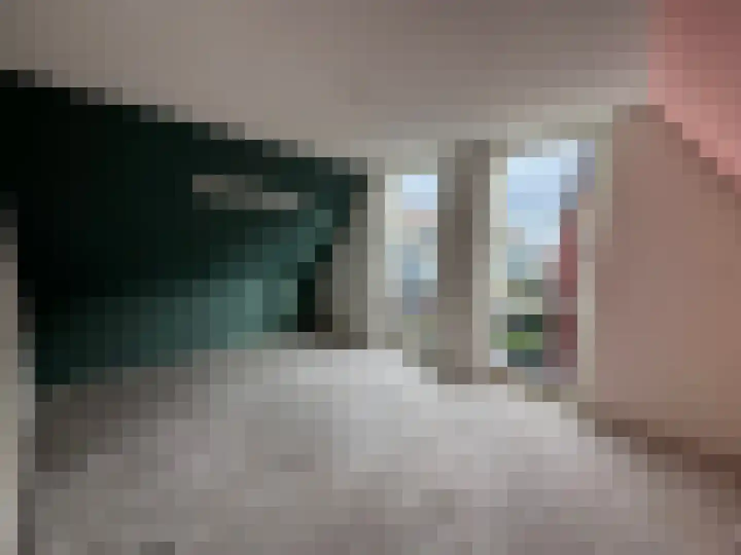 Dorpstienden 14 a Ouddorp thumbnail 15