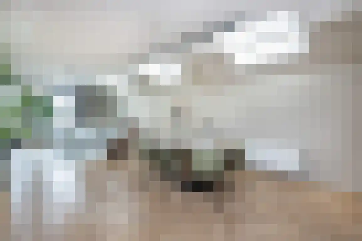 Dorpstienden 35 Ouddorp thumbnail 14